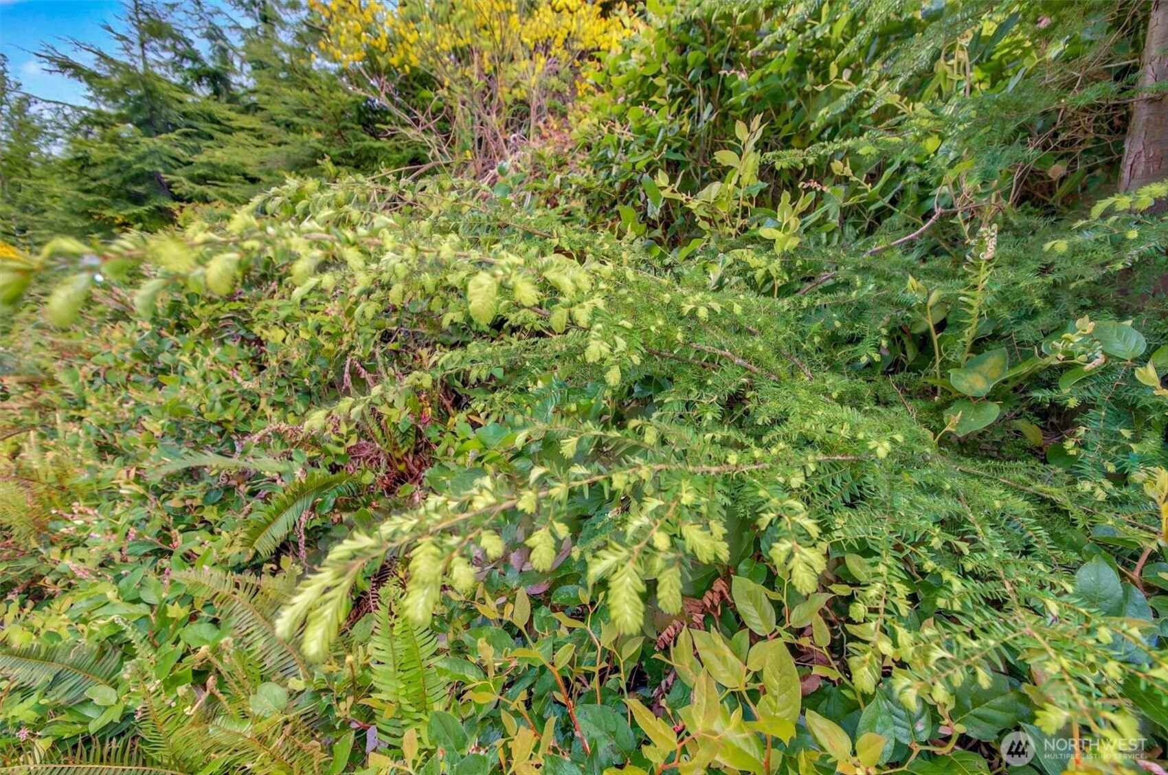 1 Parpala Road, Unit 1 Naselle, WA 98638 - Photo 6 of 9