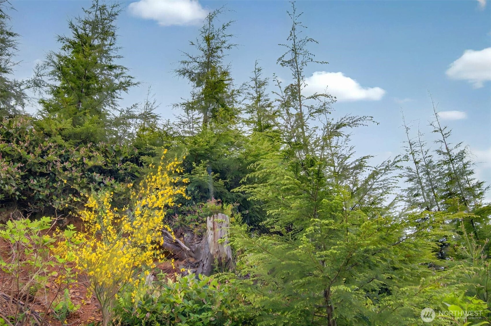 1 Parpala Road, Unit 1 Naselle, WA 98638 - Photo 7 of 9