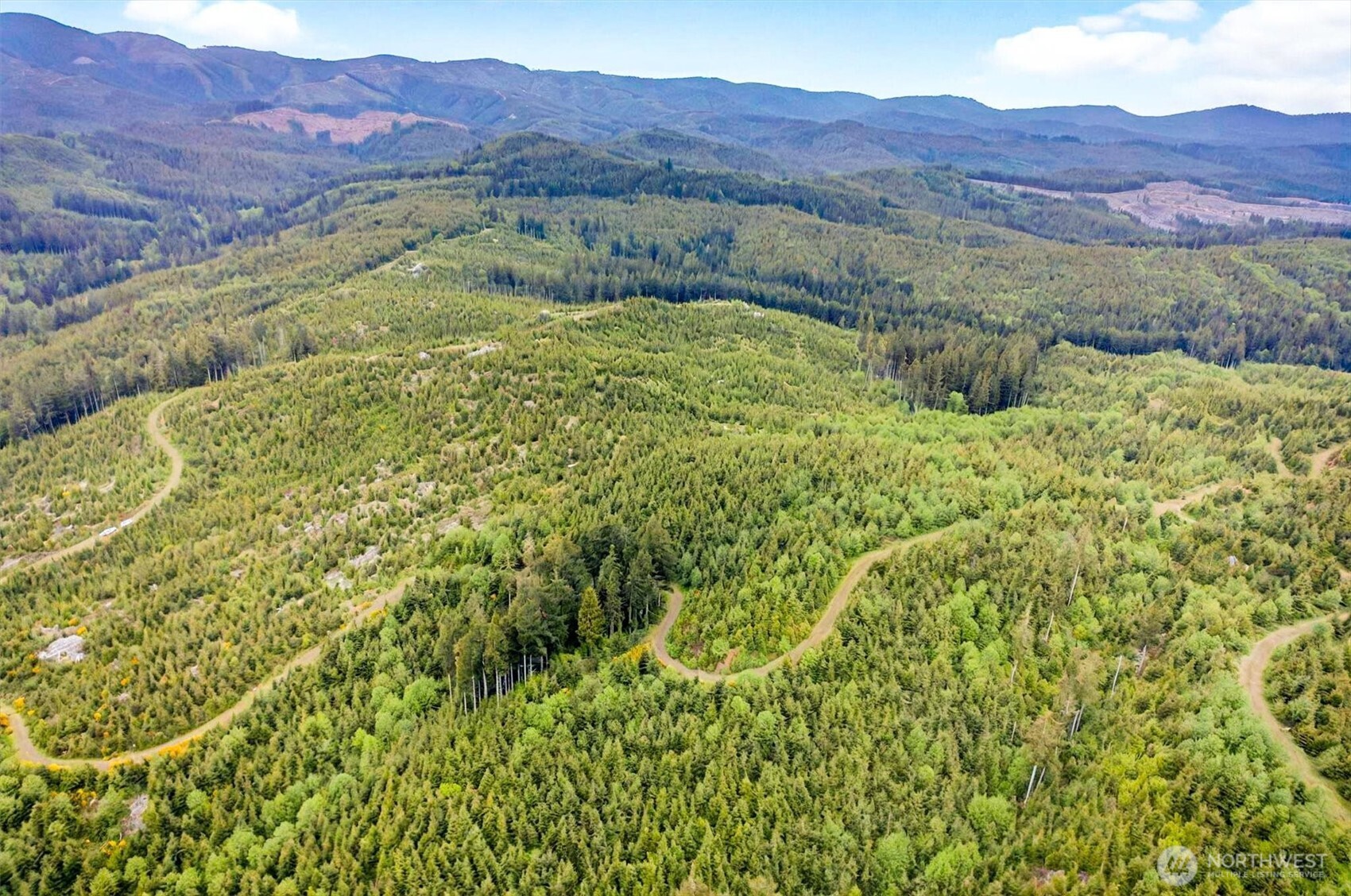 1 Parpala Road, Unit 1 Naselle, WA 98638 - Photo 8 of 9