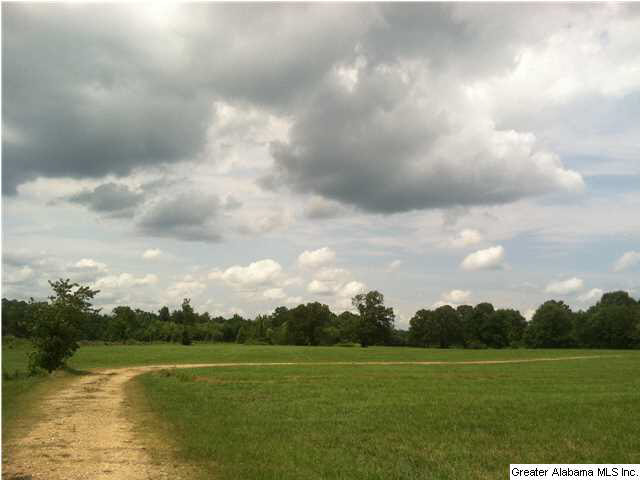 Browning Road, Unit 78 Odenville, AL 35120 - Photo 7 of 18