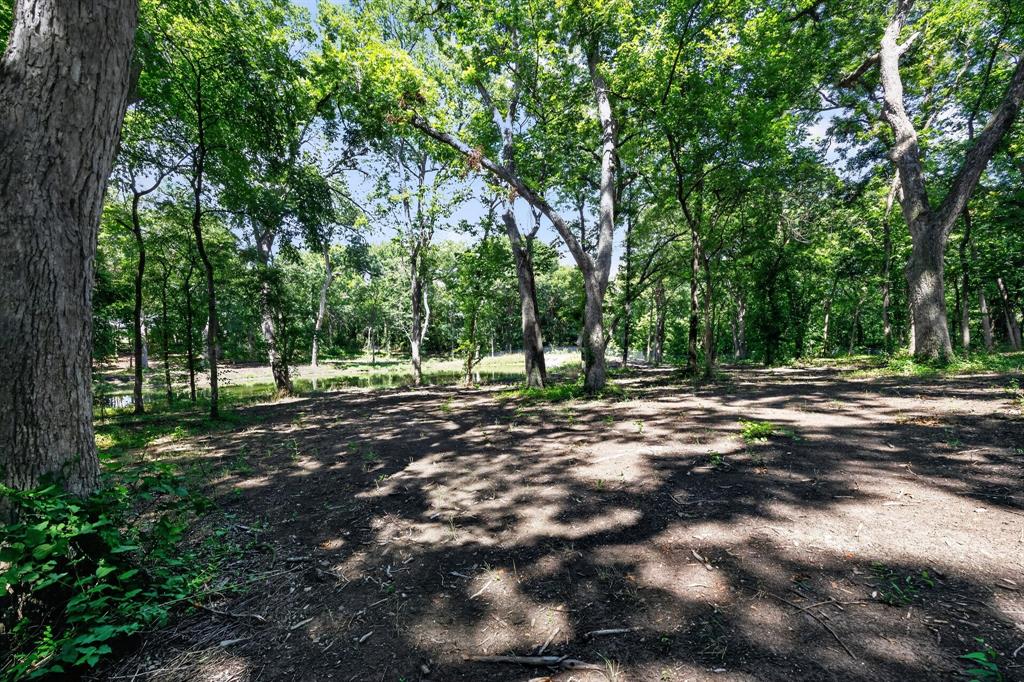 0 Willy Vester Road Van Alstyne, TX 75495 - Photo 18 of 19 a view of a tree in the middle of a yard