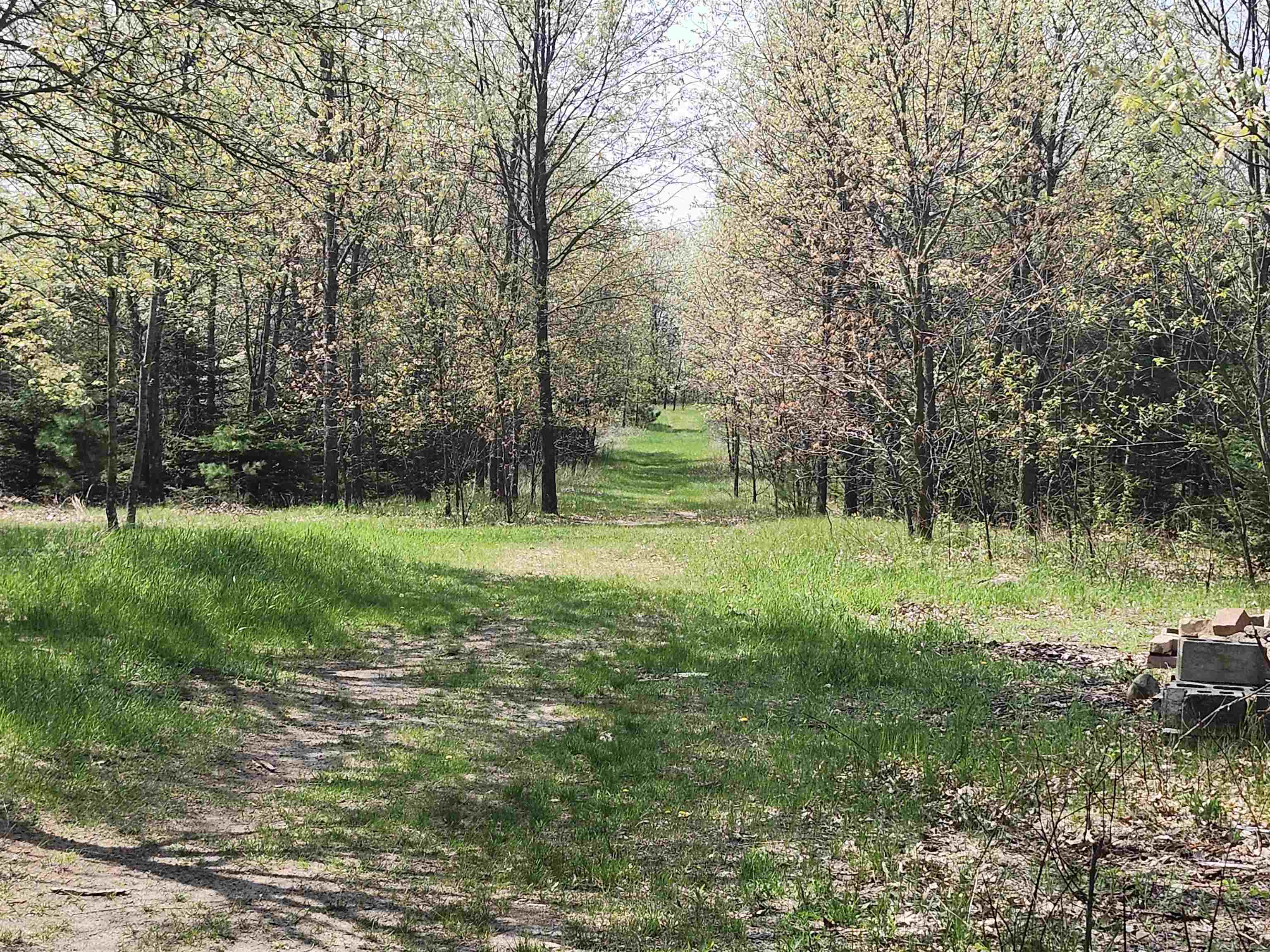 W7429 Akron Drive Wild Rose, WI 54984 - Photo 52 of 66