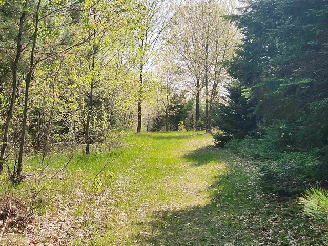 $950,000 | W7429 Akron Drive, Wild Rose, WI 54984