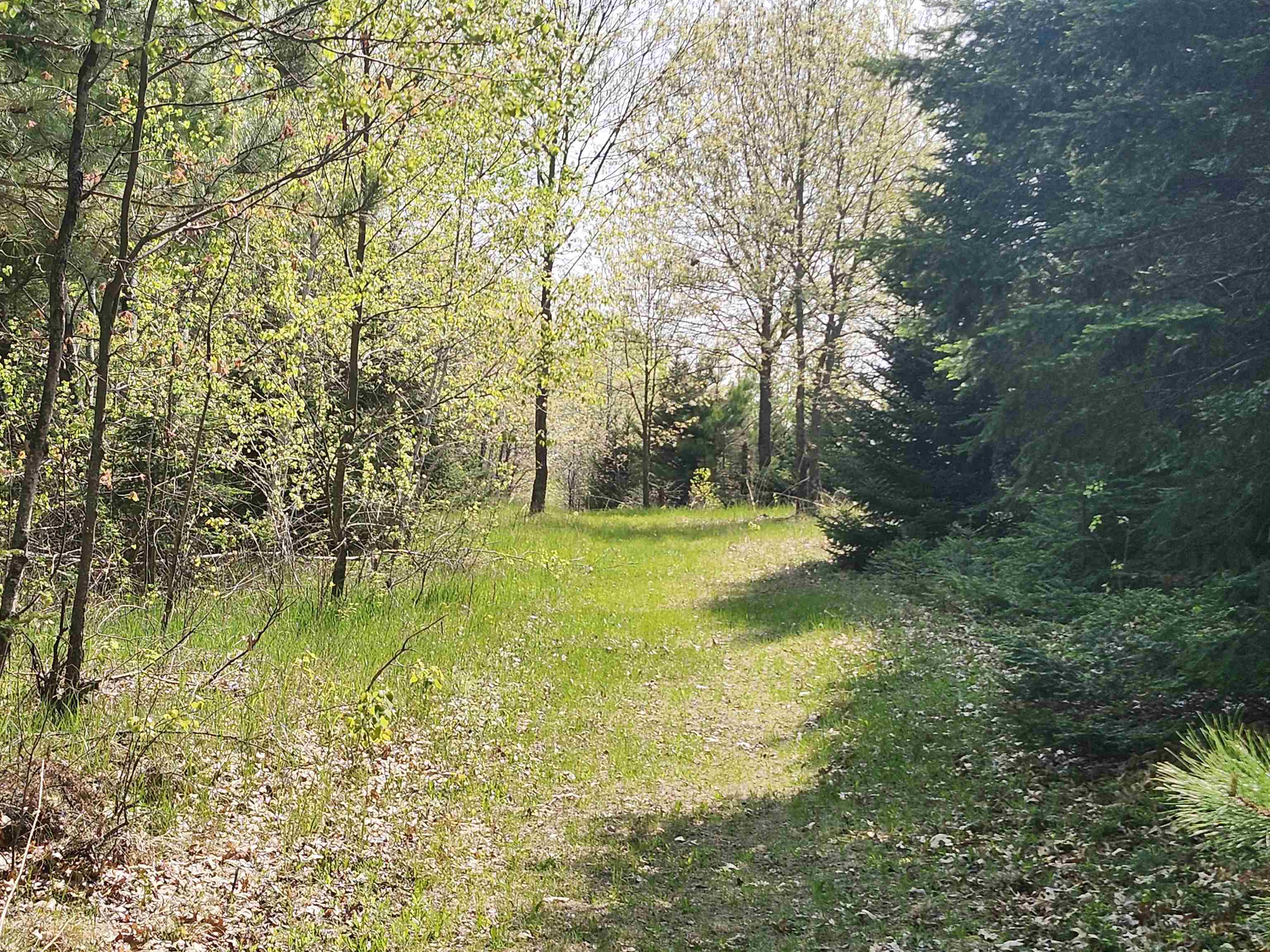 W7429 Akron Drive Wild Rose, WI 54984 - Photo 53 of 66