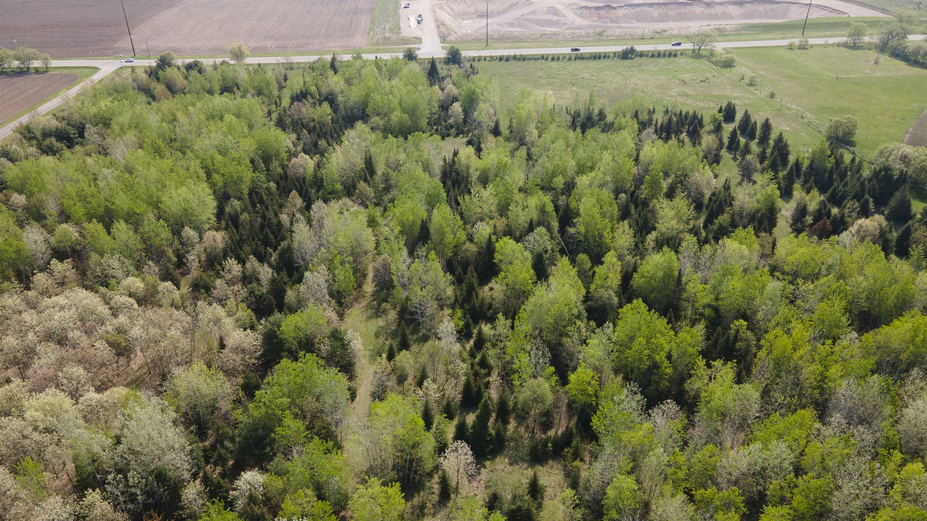 W7429 Akron Drive Wild Rose, WI 54984 - Photo 64 of 66