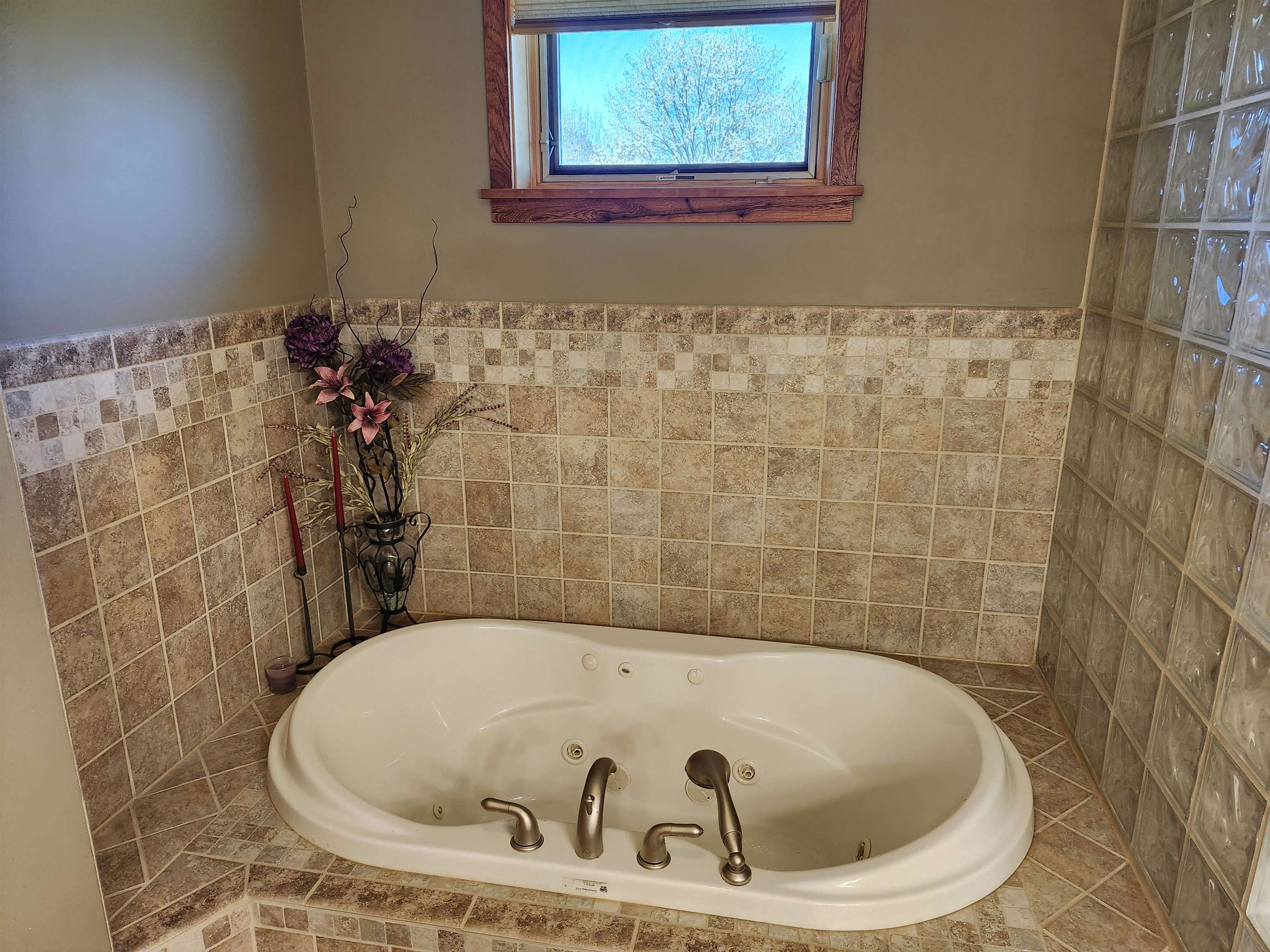 W7429 Akron Drive Wild Rose, WI 54984 - Photo 10 of 66