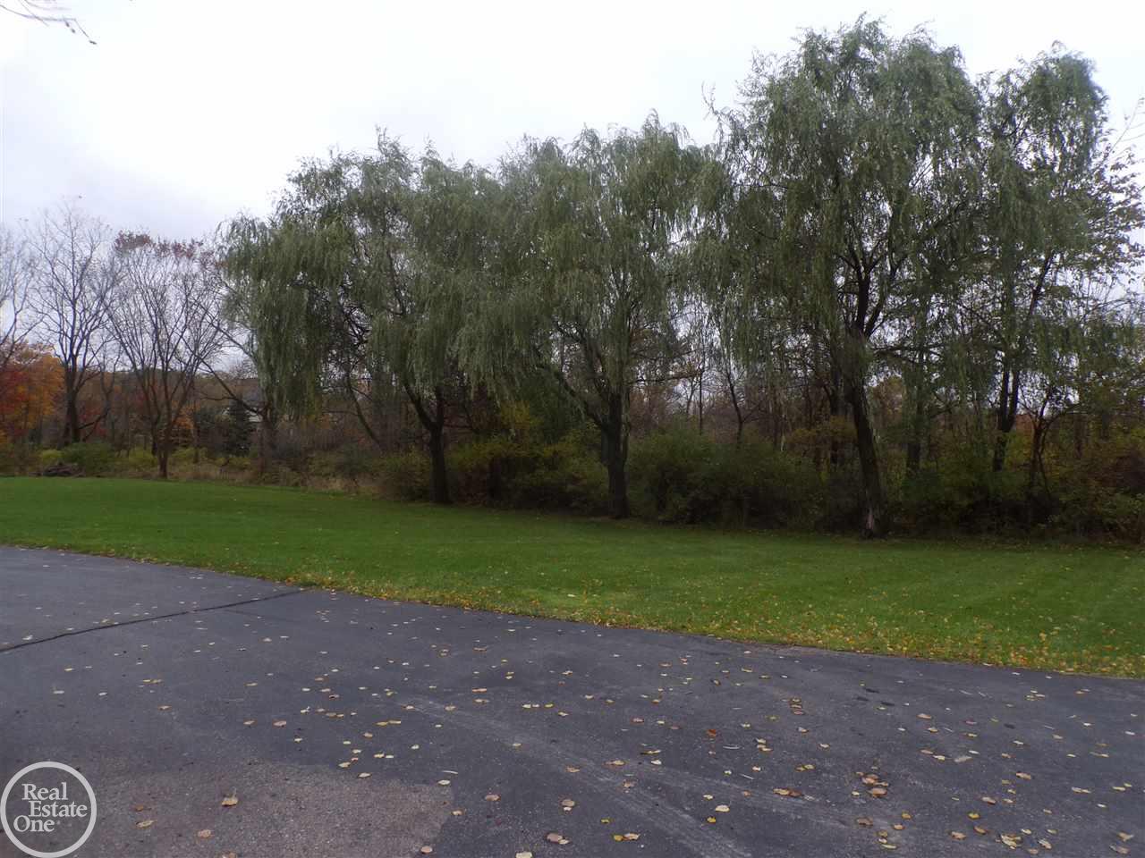 67447 Quail Ridge Washington, MI 48095 - Photo 58 of 69