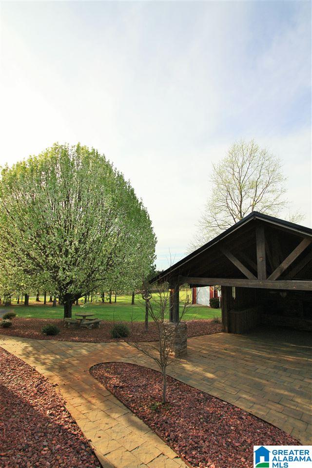 324 Mountain View Road Lineville, AL 36266 - Photo 50 of 50