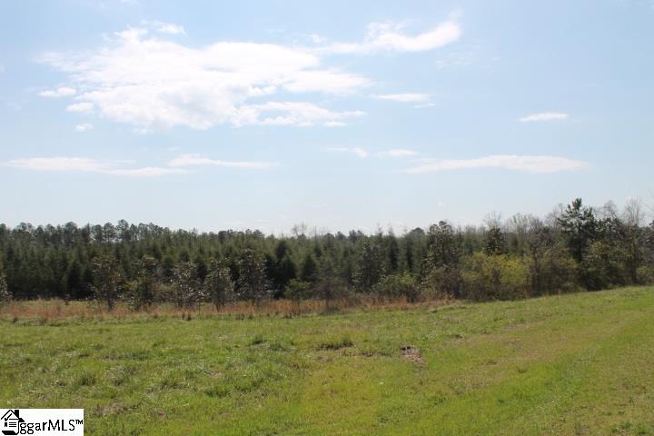 578 5 Forks Road Liberty, SC 29657 - Photo 12 of 18