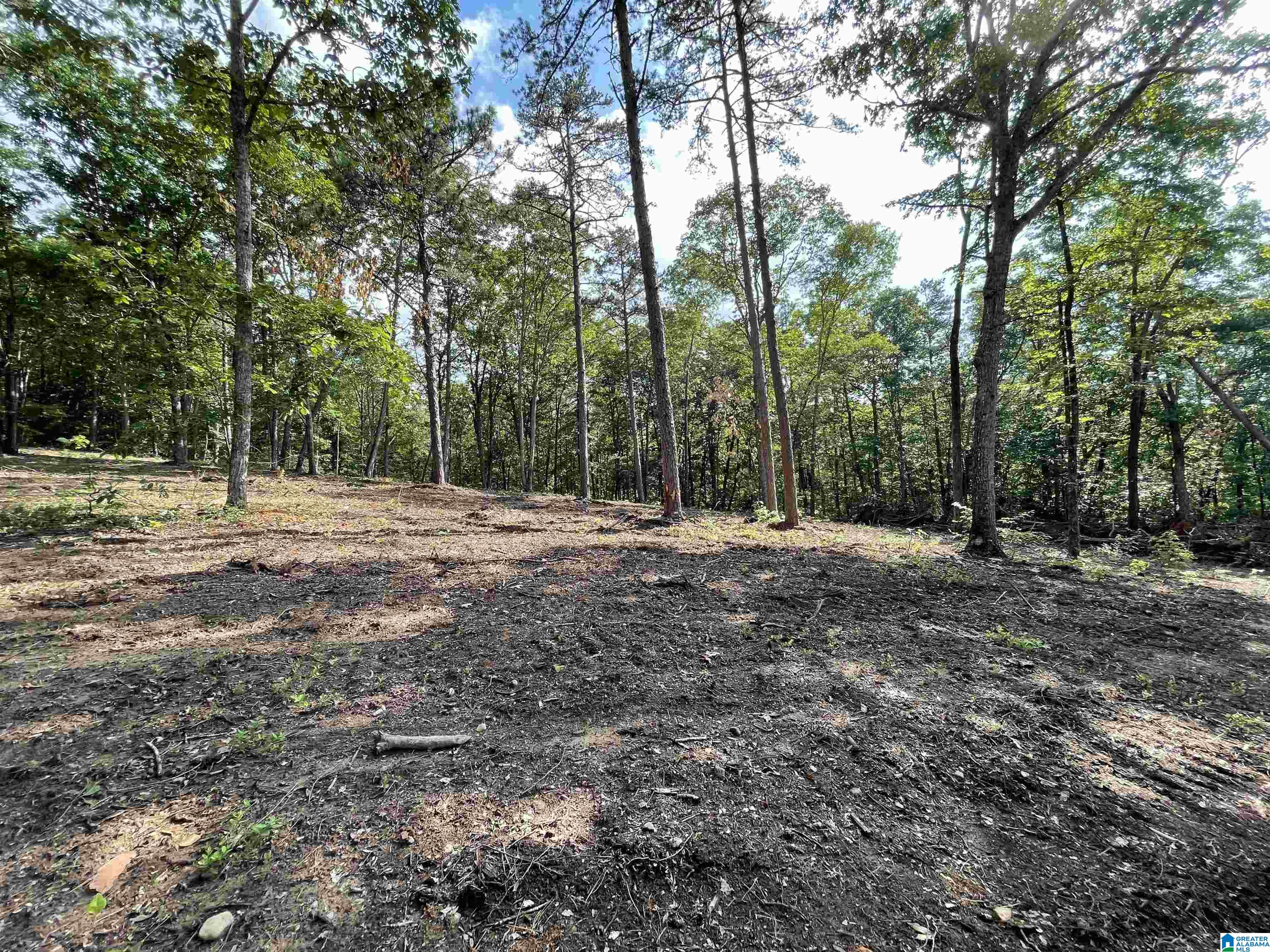 0 Scenic Road Jacksonville, AL 36265 - Photo 42 of 42