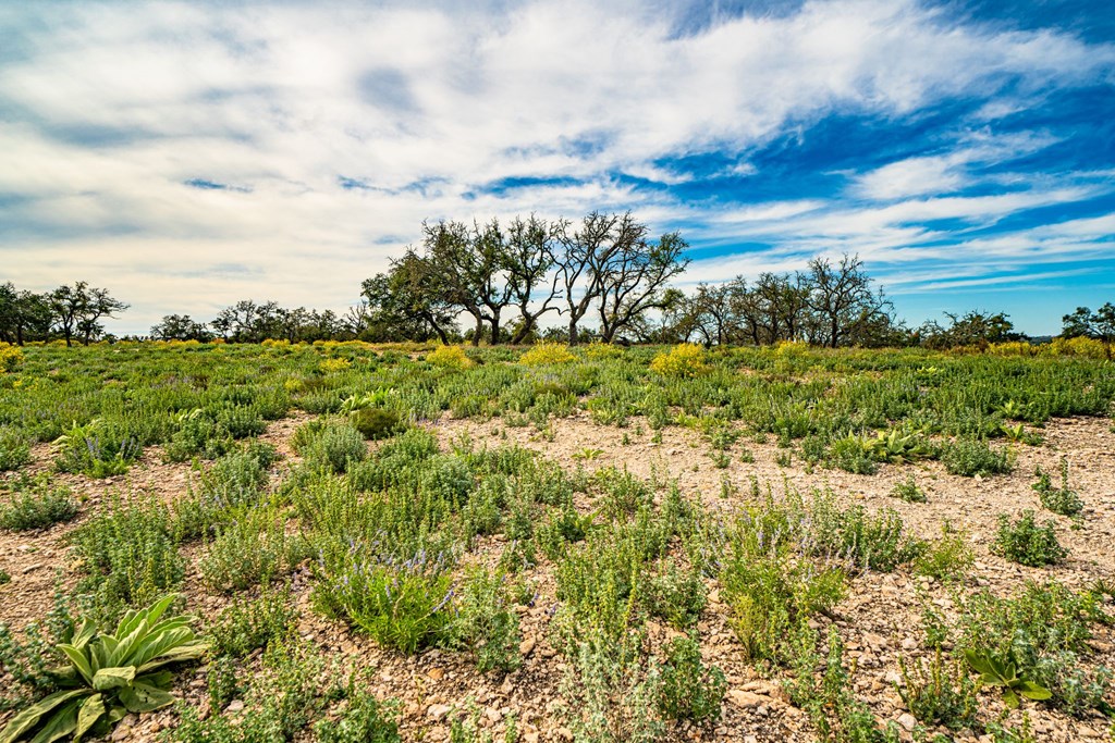 Lot 12 Reservation Road, Unit 12 Harper, TX 78631 - Photo 5 of 7 Gallery Image 5