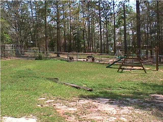 5334 Sewell Road Milton, FL 32570 - Photo 7 of 7 a view of a park with large trees