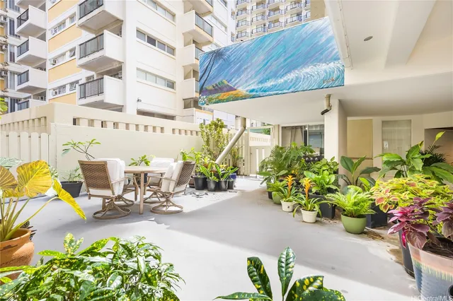 a view of a patio with plants and flowers potted plants