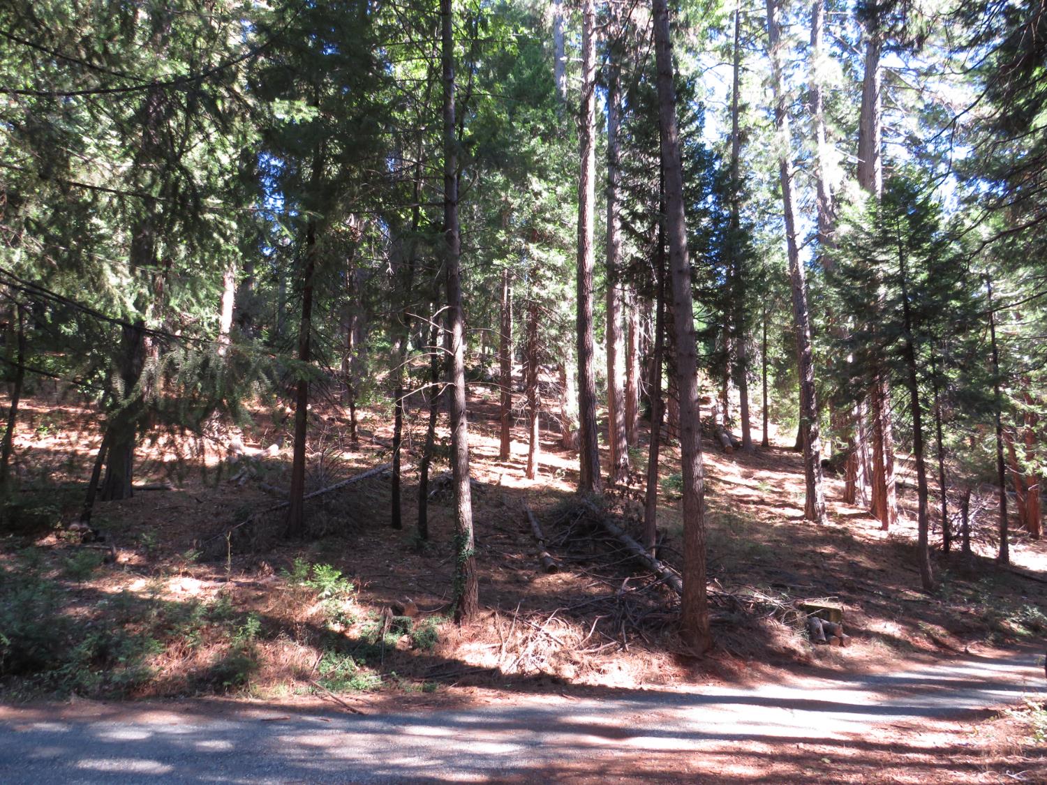 172 Sylvan Road Colfax, CA 95713 - Photo 1 of 19 a backyard of a house with lots of green space