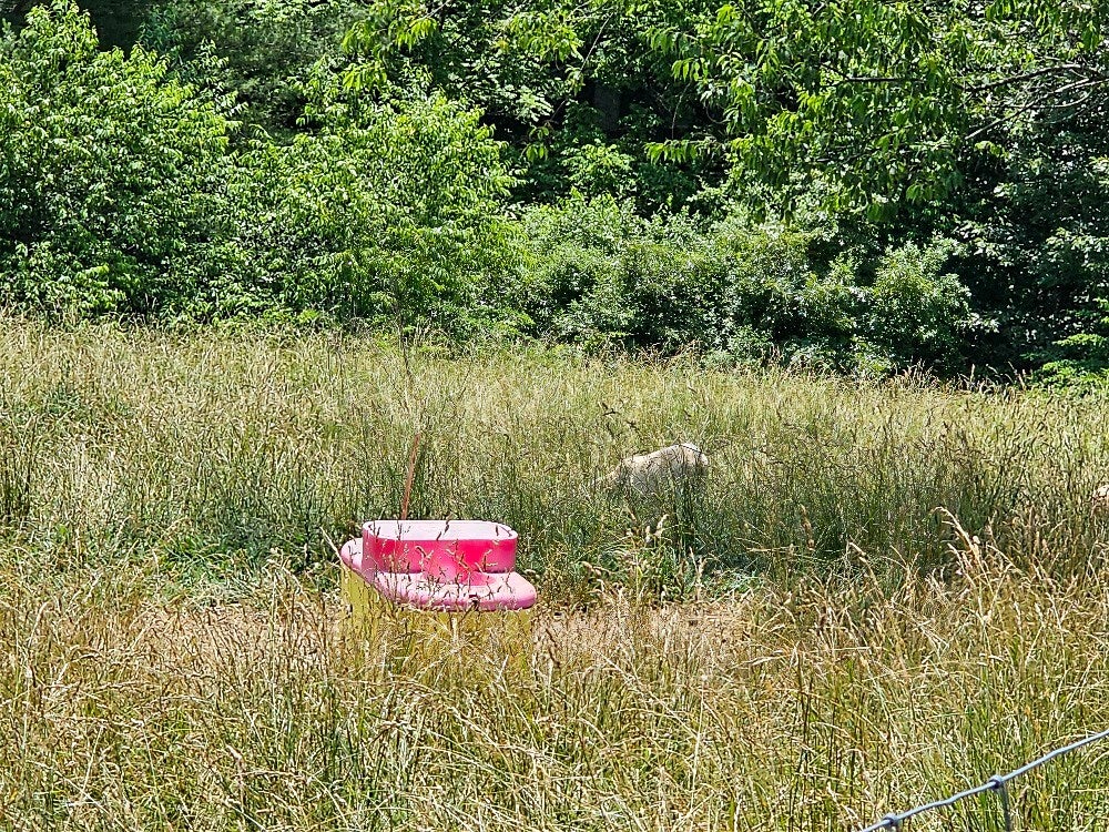 Tbd Stevens Creek Road Fries, VA 24330 - Photo 7 of 13 Gallery Image 7