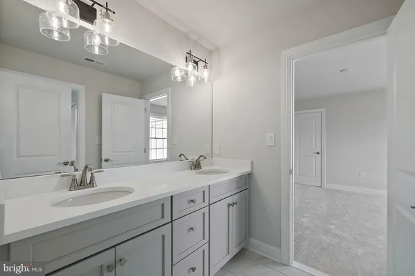 a bathroom with a double vanity sink a mirror and a shower