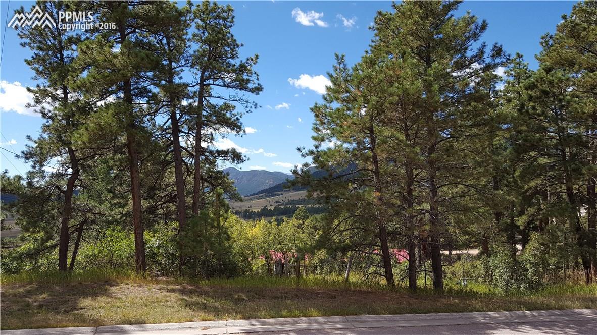 1001 Spruce Road Larkspur, CO 80118 - Photo 1 of 9 Gallery Image 1