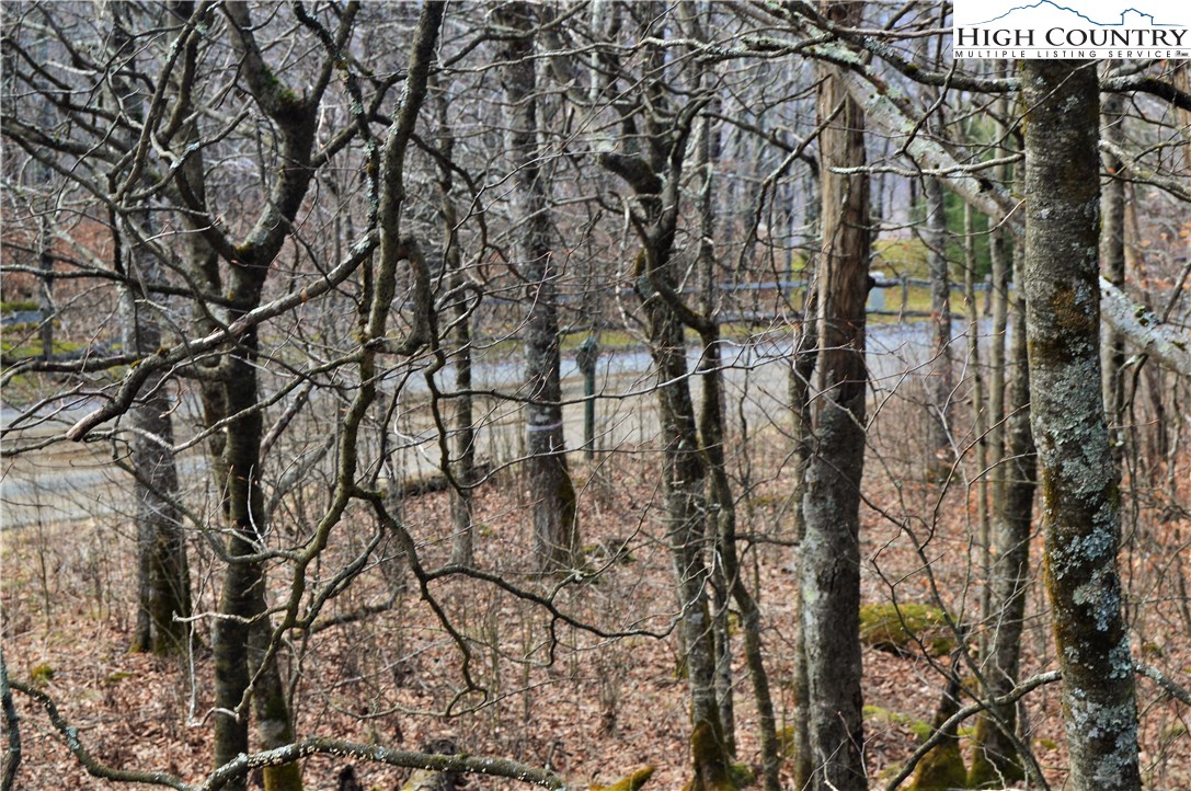 Lot 2 North Pinnacle Ridge Road Beech Mountain, NC 28604 - Photo 15 of 15 Gallery Image 15