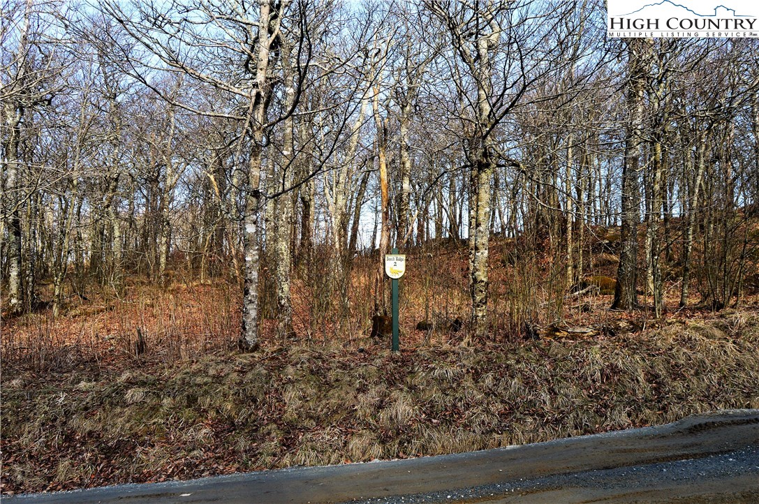 Lot 2 North Pinnacle Ridge Road Beech Mountain, NC 28604 - Photo 3 of 15 Gallery Image 3