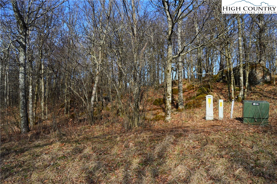Lot 2 North Pinnacle Ridge Road Beech Mountain, NC 28604 - Photo 4 of 15 Gallery Image 4