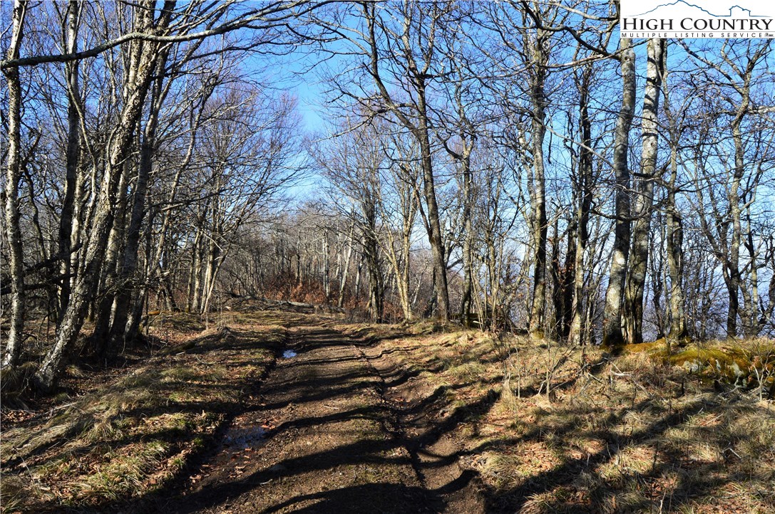 Lot 2 North Pinnacle Ridge Road Beech Mountain, NC 28604 - Photo 5 of 15 Gallery Image 5