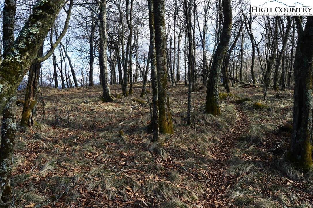 Lot 2 North Pinnacle Ridge Road Beech Mountain, NC 28604 - Photo 9 of 15 Gallery Image 9