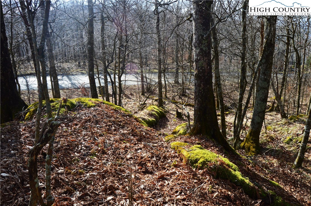 Lot 2 North Pinnacle Ridge Road Beech Mountain, NC 28604 - Photo 10 of 15 Gallery Image 10
