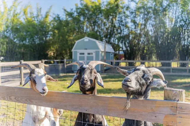 $649,900 | 5460 Boutin Lane, St. Cloud, FL 34772