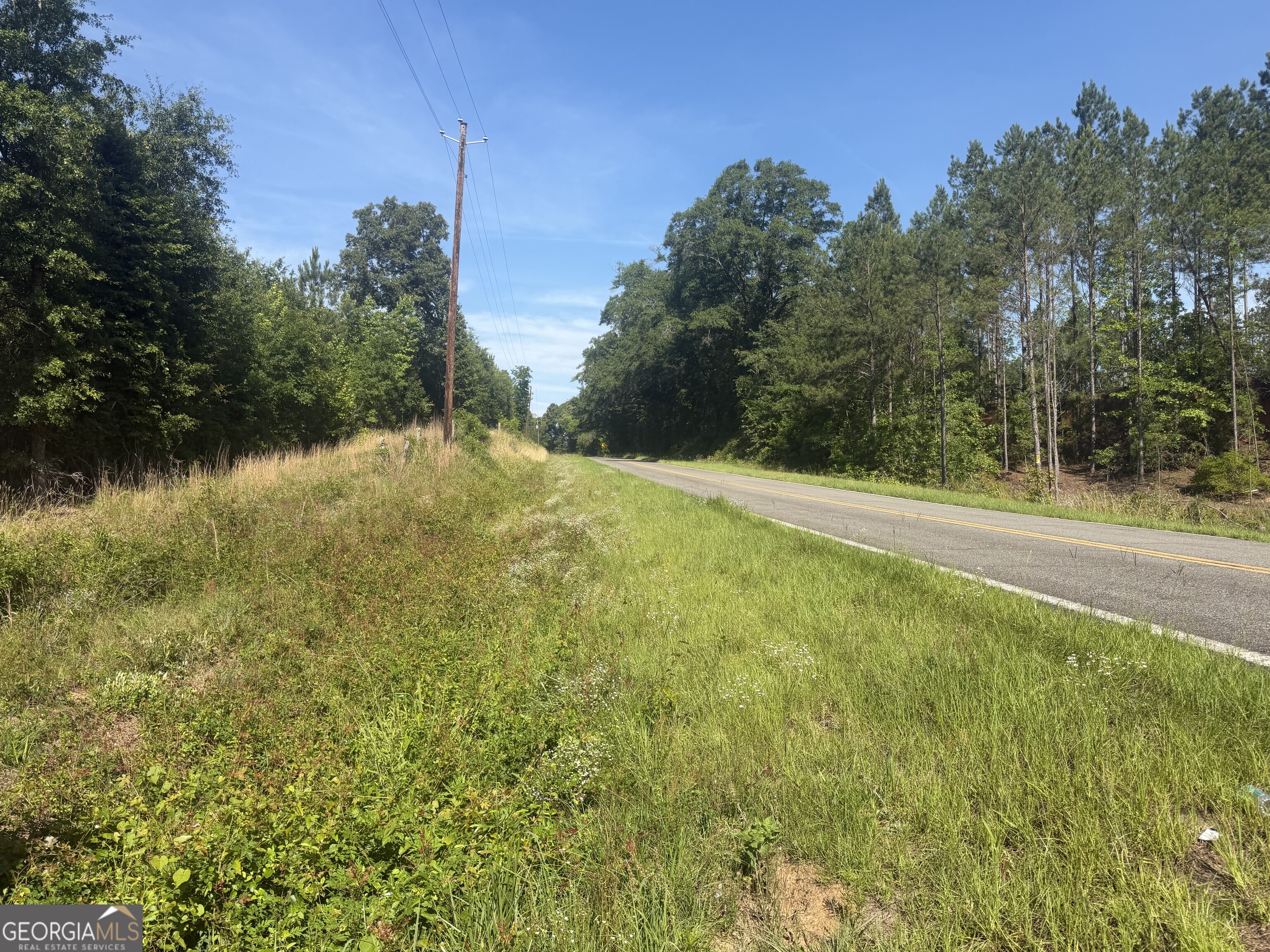 0 Branan Road Toomsboro, GA 31090 - Photo 28 of 28