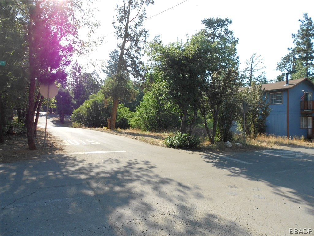 a view of road and trees