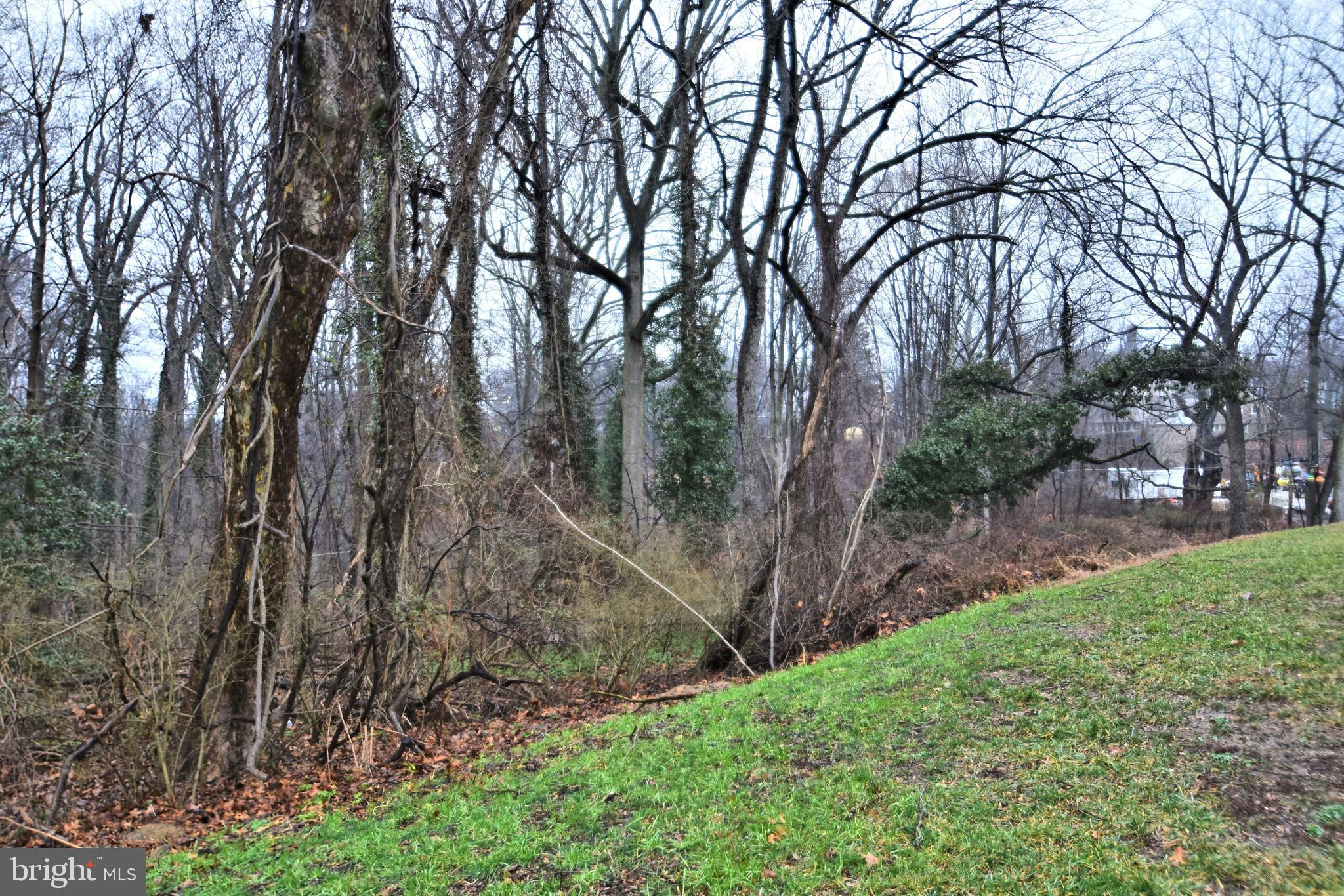 7302 Cresheim Road, Unit D2 Philadelphia, PA 19119 - Photo 41 of 45