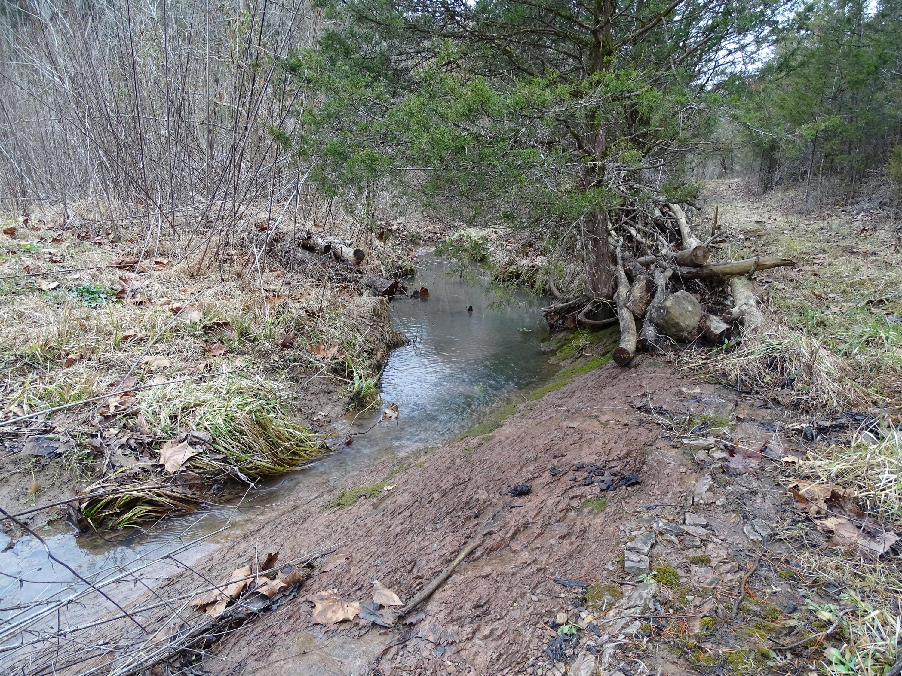 Wolfenbarger Road Luttrell, TN 37779 - Photo 12 of 36 DSC03378