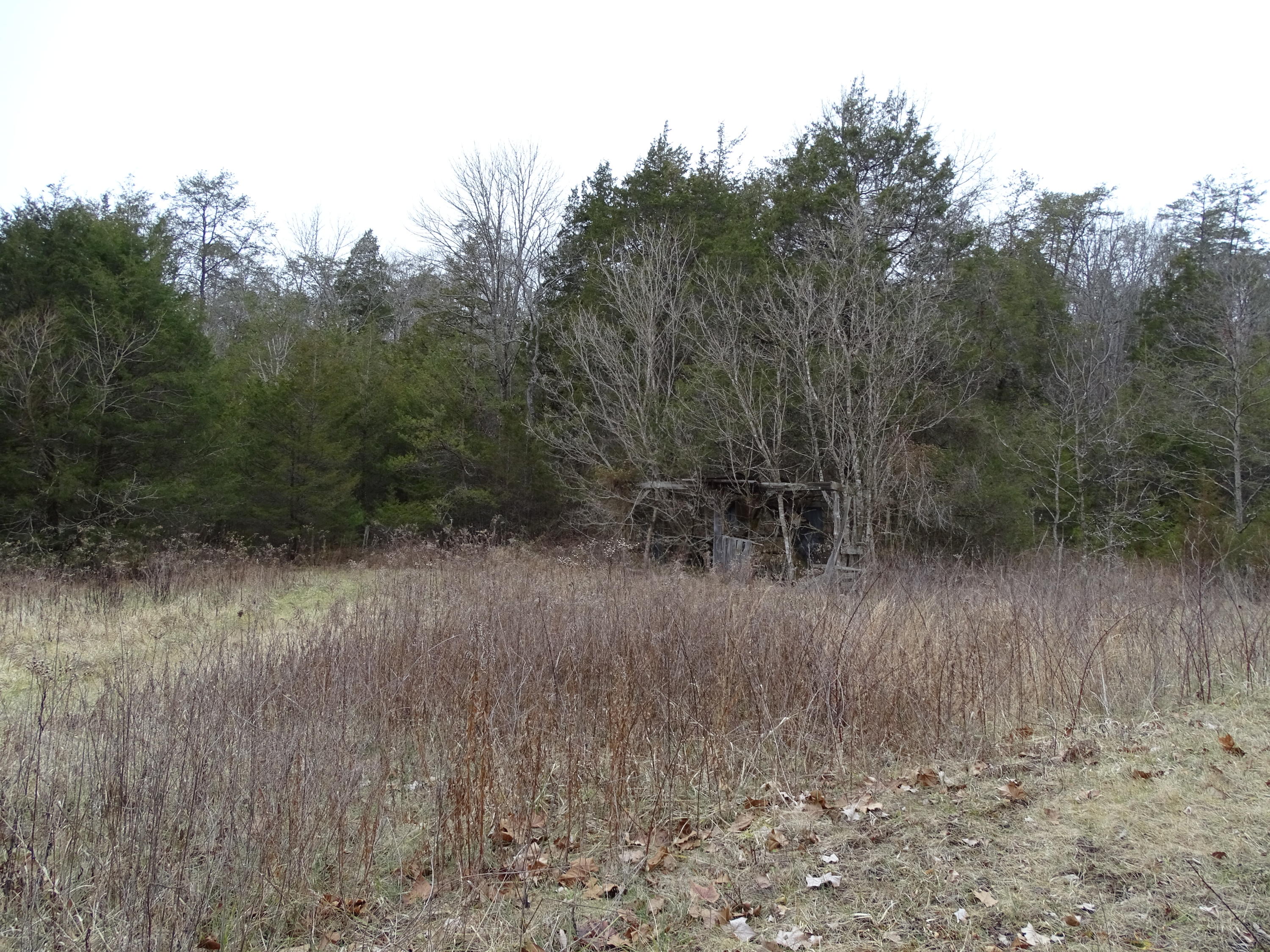 Wolfenbarger Road Luttrell, TN 37779 - Photo 13 of 36 DSC03379