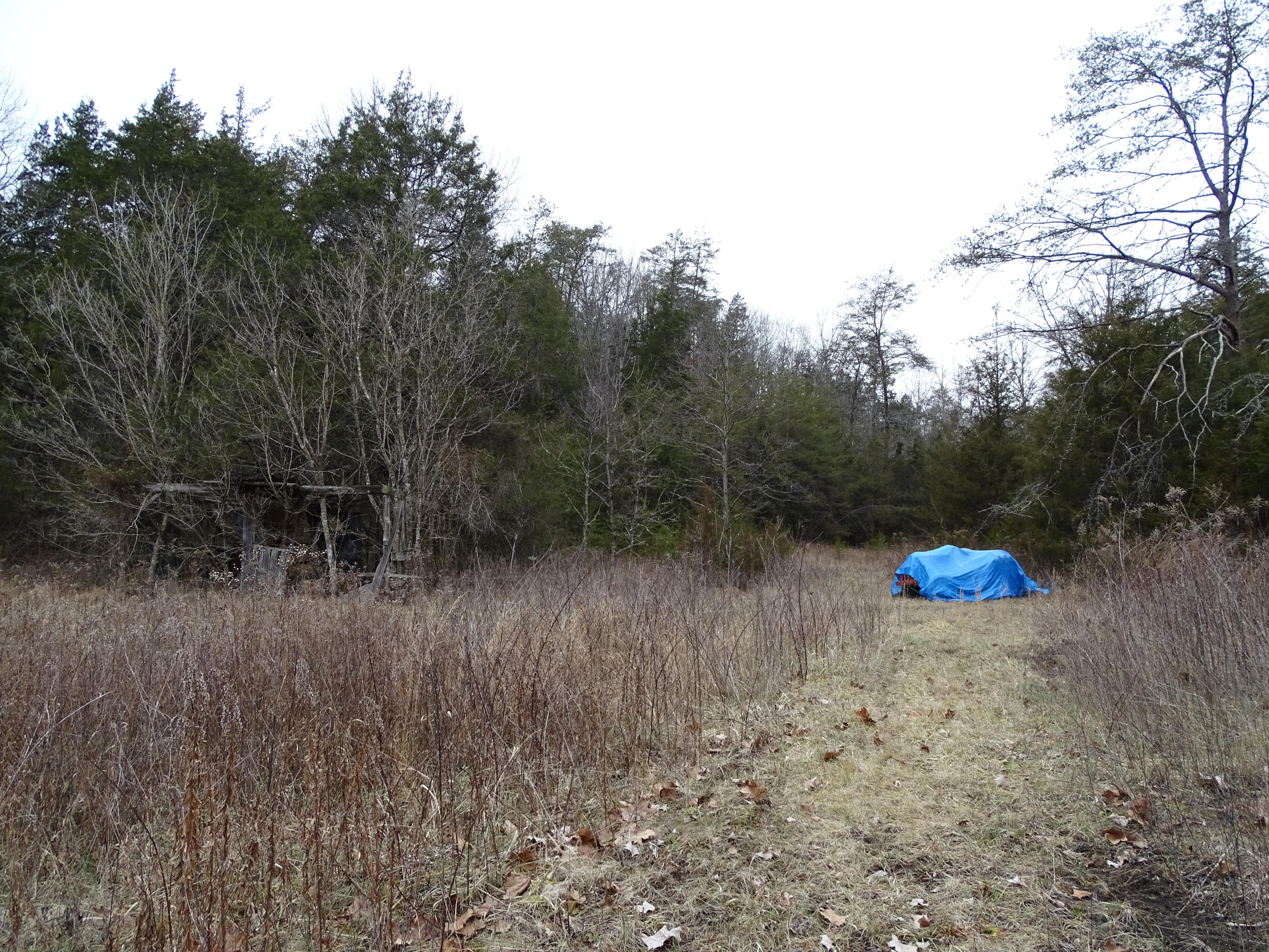 Wolfenbarger Road Luttrell, TN 37779 - Photo 14 of 36 DSC03380