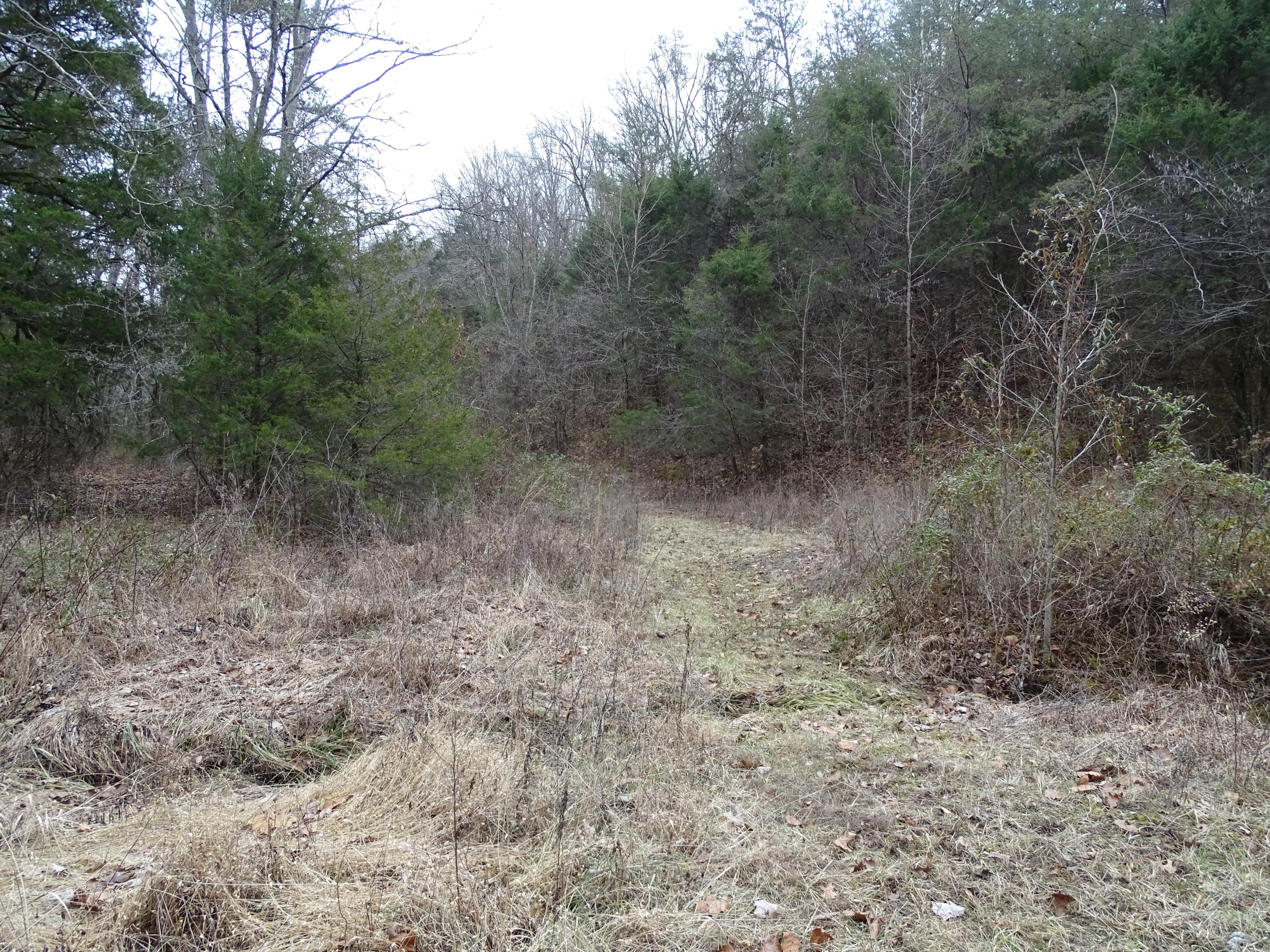 Wolfenbarger Road Luttrell, TN 37779 - Photo 26 of 36 DSC03392