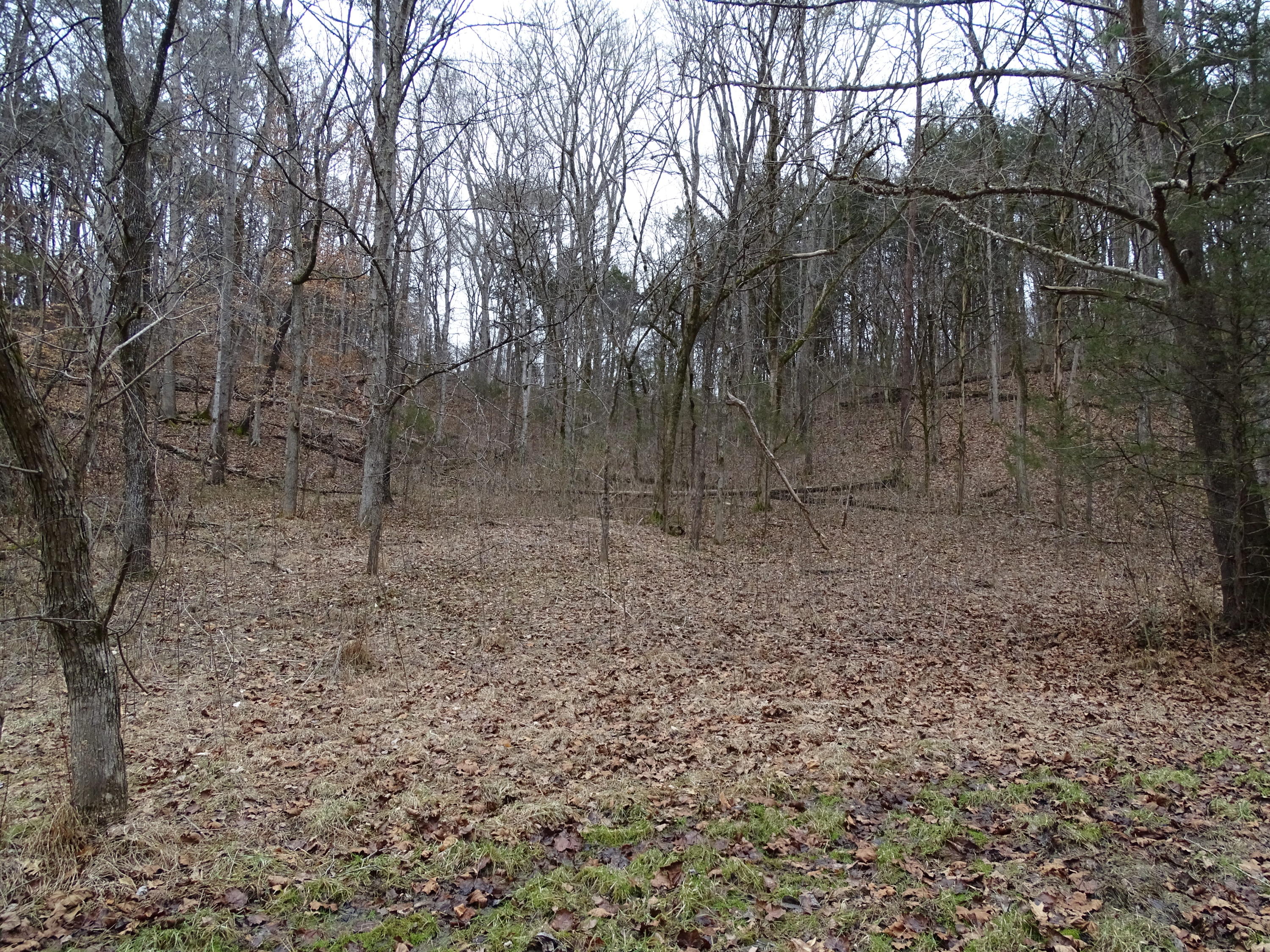 Wolfenbarger Road Luttrell, TN 37779 - Photo 33 of 36 DSC03401