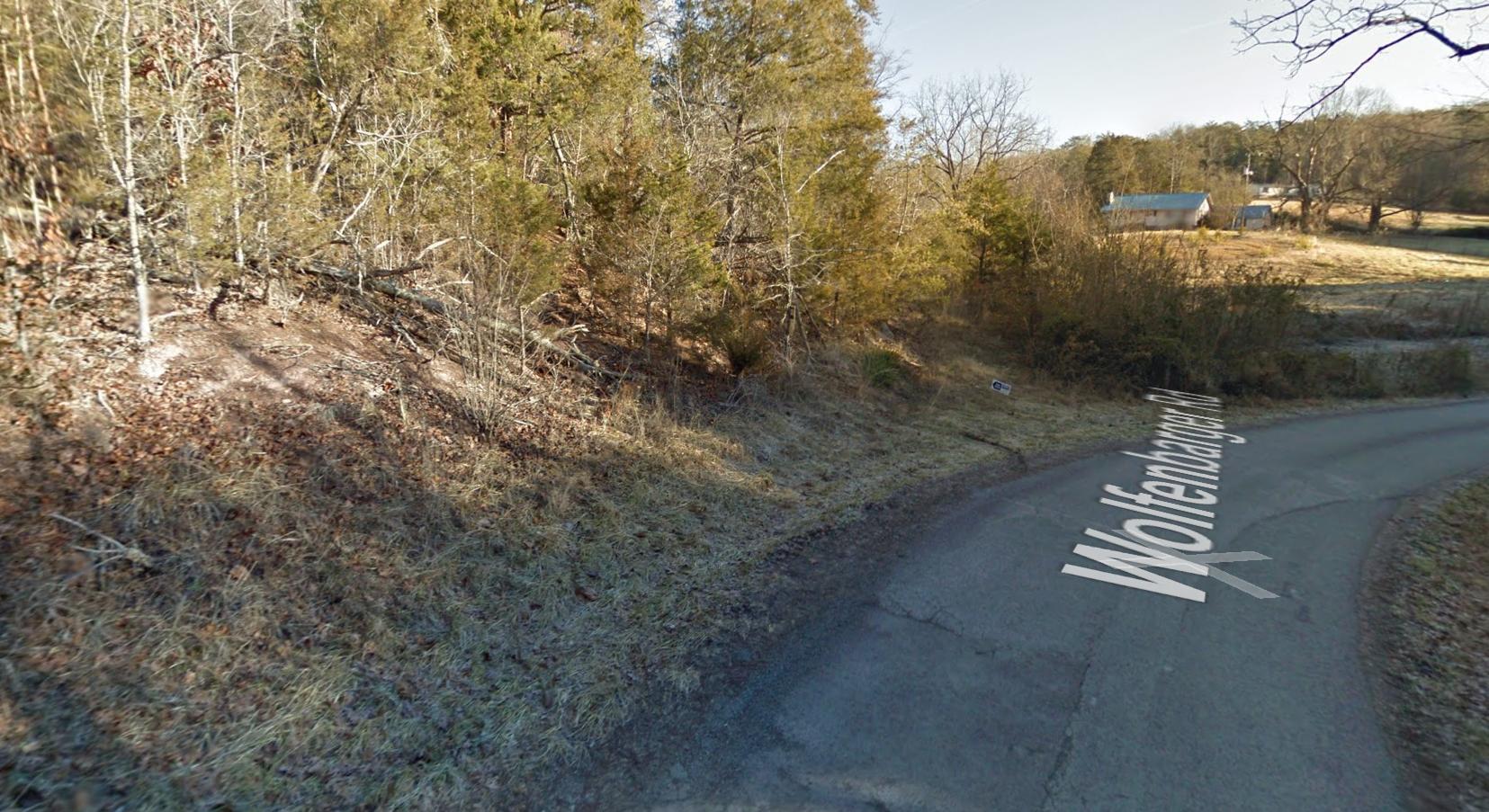 Wolfenbarger Road Luttrell, TN 37779 - Photo 6 of 36 Google Maps Street View 3