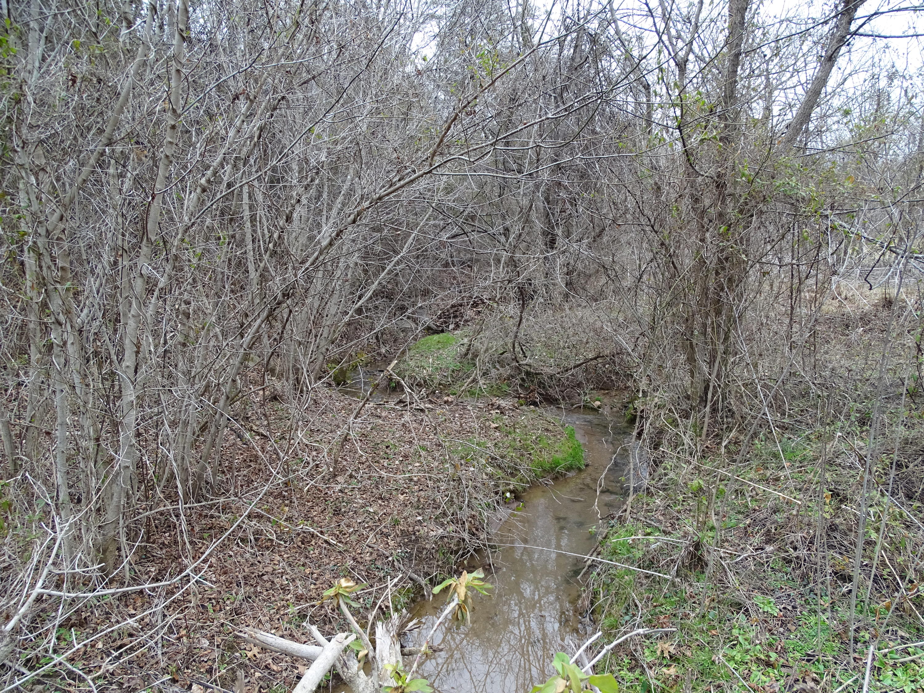 Wolfenbarger Road Luttrell, TN 37779 - Photo 7 of 36 DSC03373