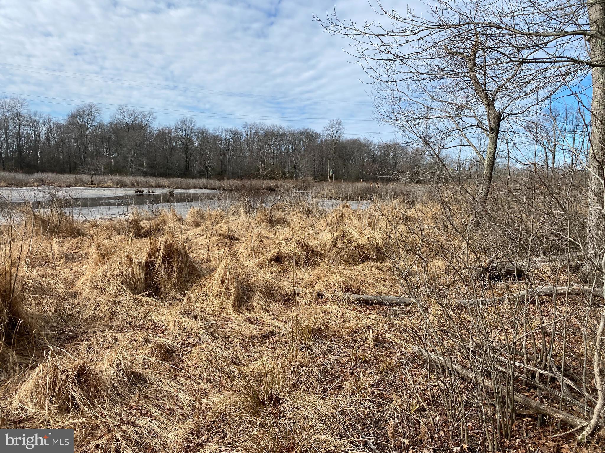 220 Hartford Road Mount Laurel, NJ 08054 - Photo 11 of 12 a view of swimming pool of water with green space