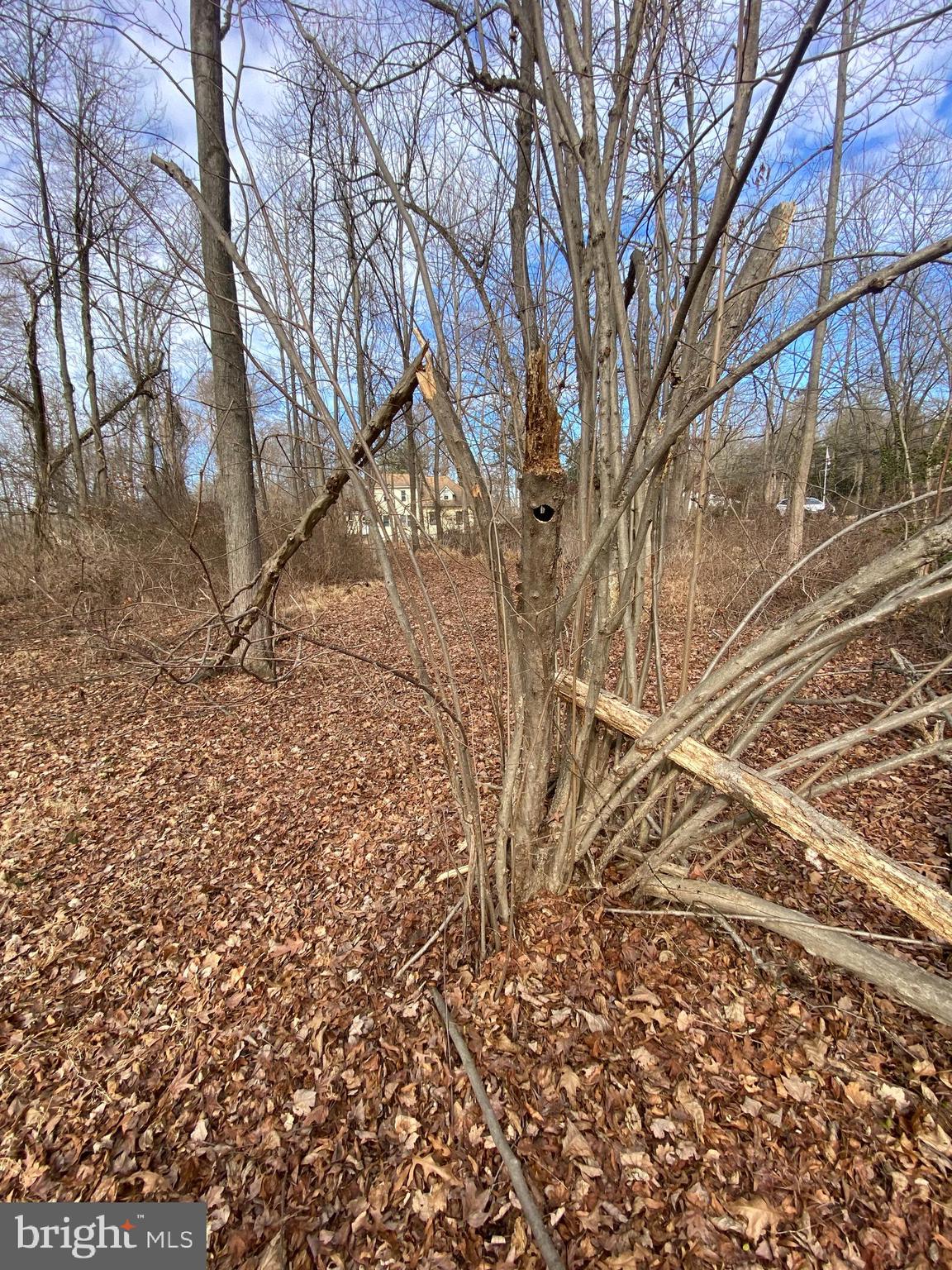 220 Hartford Road Mount Laurel, NJ 08054 - Photo 12 of 12 a backyard of a house with lots of green space