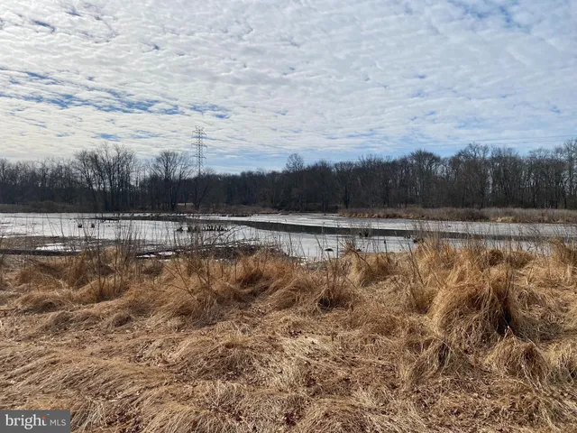 a view of a yard with plants and trees