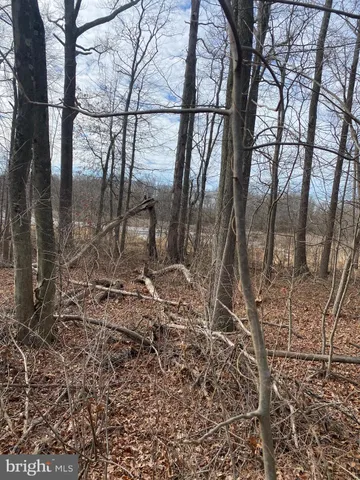 a view of a pathway of a house with large trees