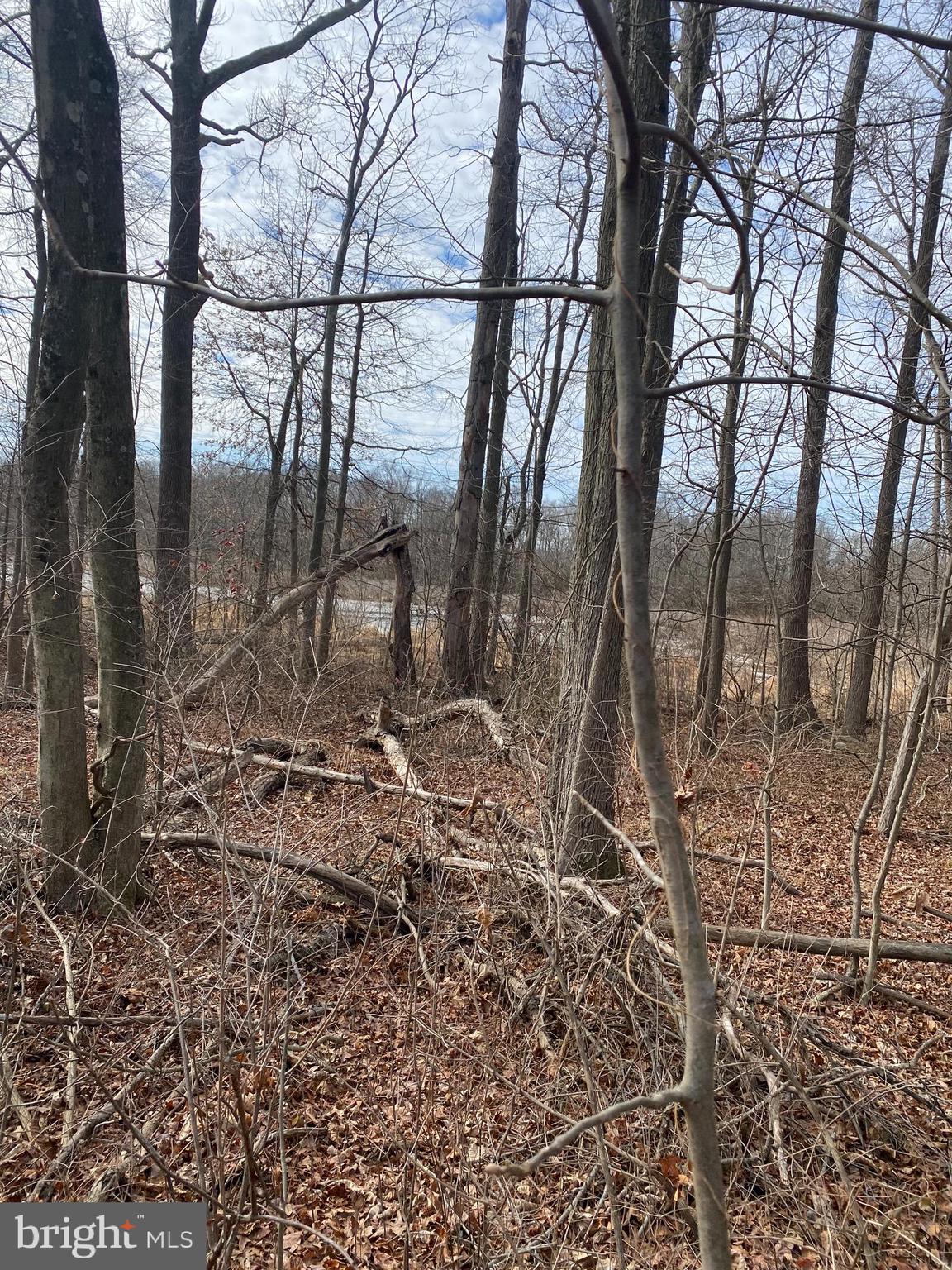 220 Hartford Road Mount Laurel, NJ 08054 - Photo 8 of 12 a backyard of a house with lots of green space