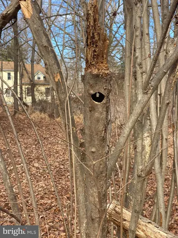 a view of swimming pool of water with green space