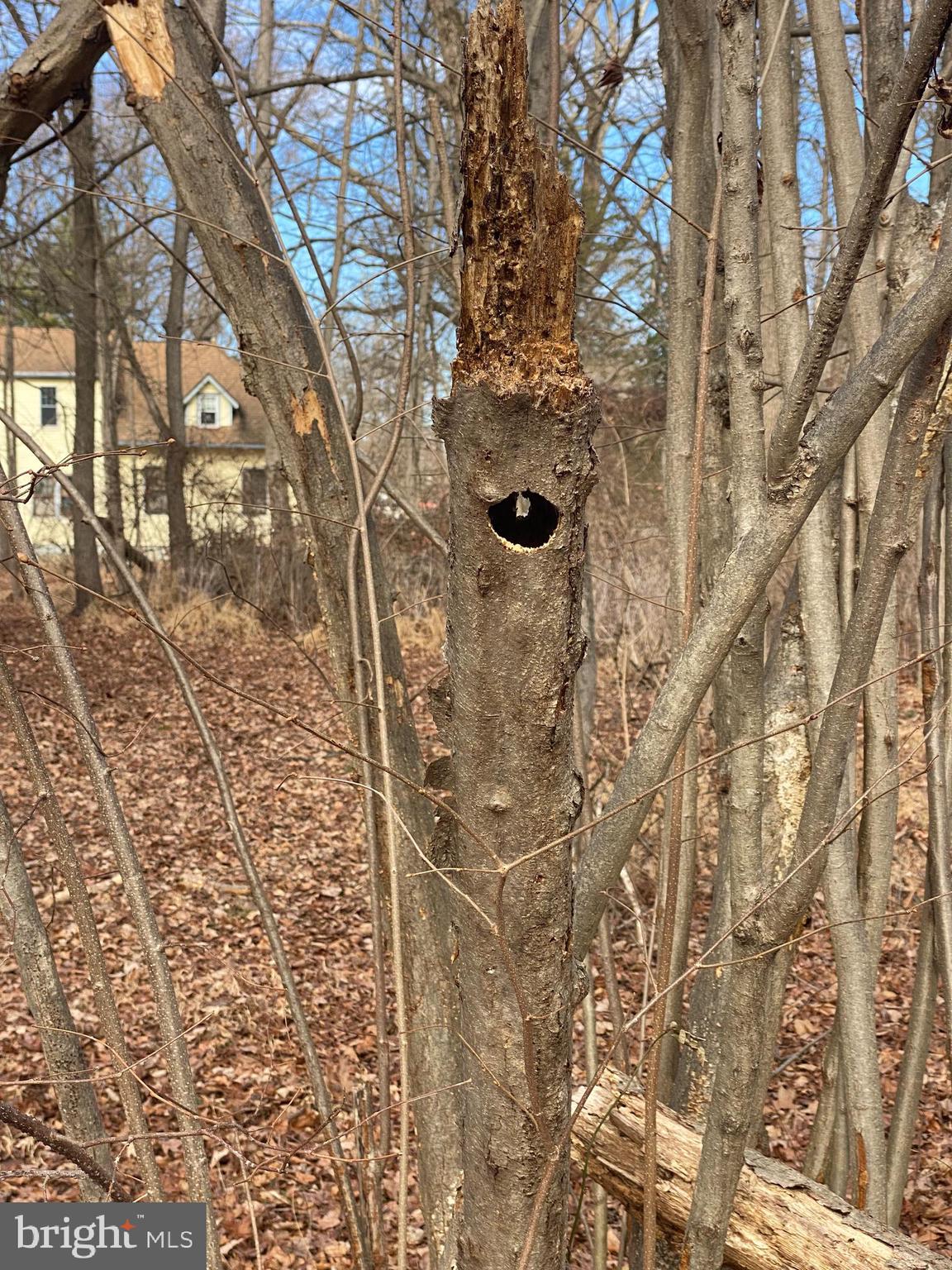 220 Hartford Road Mount Laurel, NJ 08054 - Photo 9 of 12 a bathroom with a shower