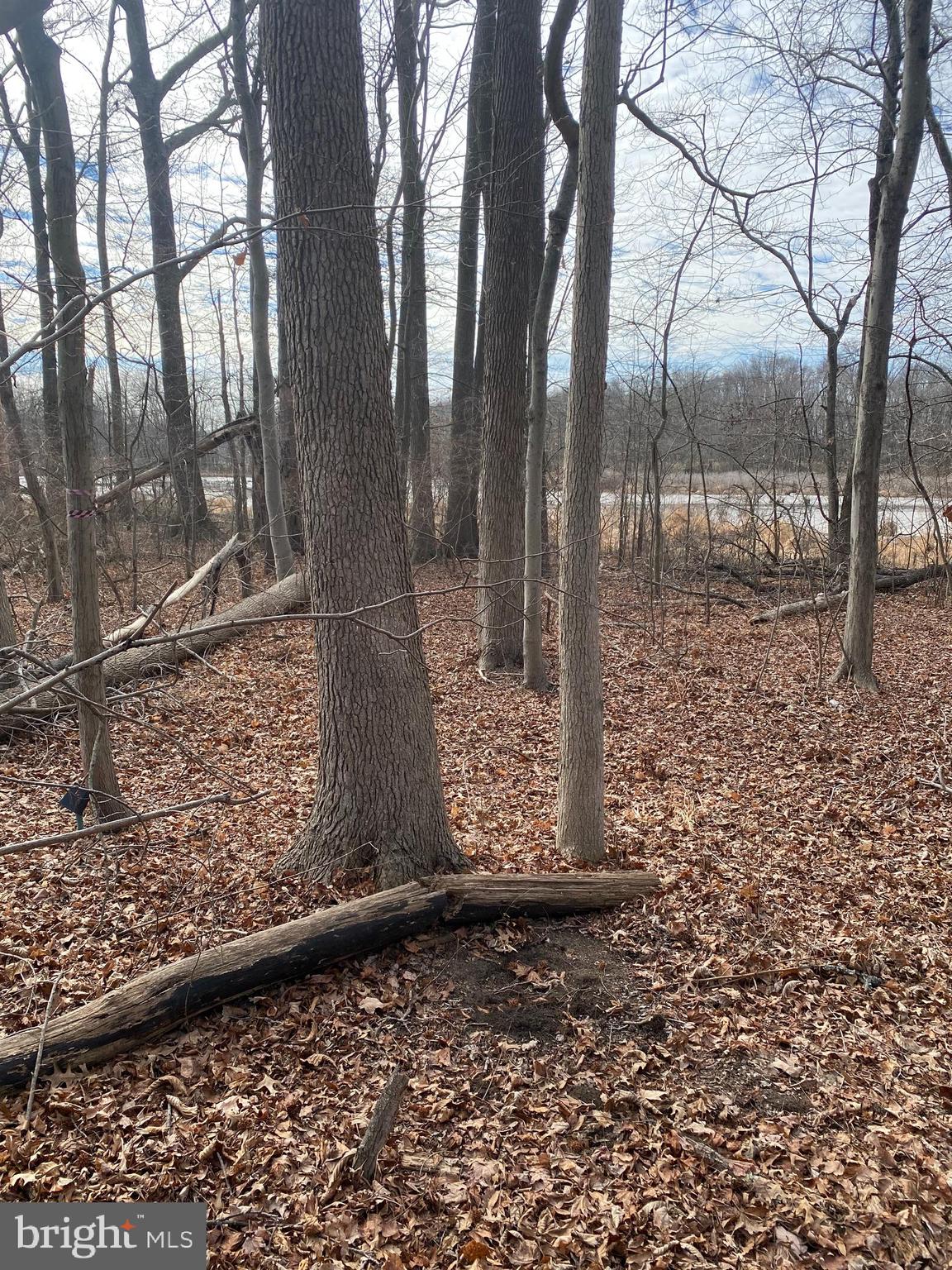220 Hartford Road Mount Laurel, NJ 08054 - Photo 10 of 12 a view of a pathway of a house with large trees