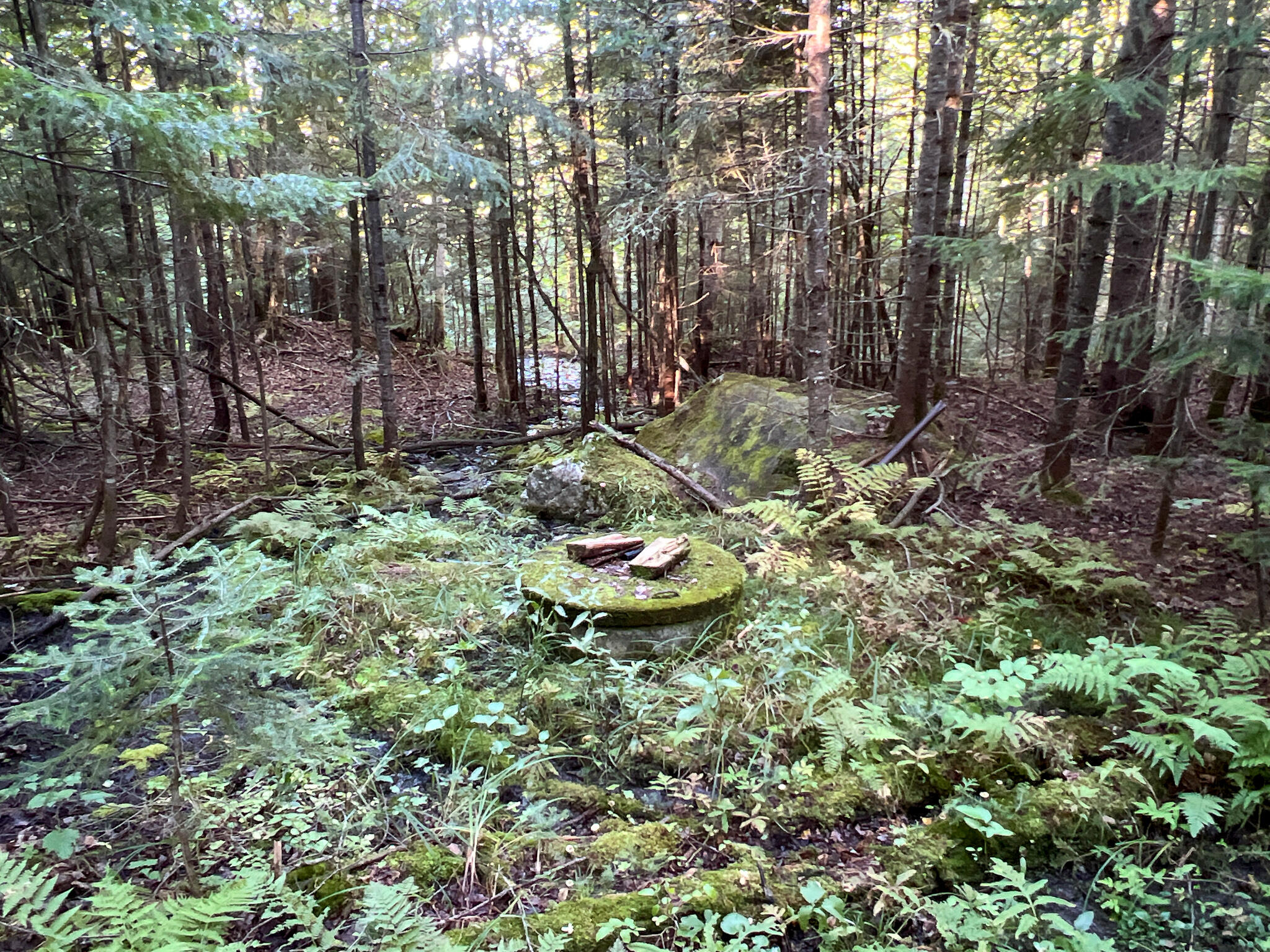 2092 Main Street St. Francis, ME 04774 - Photo 38 of 53 IMG_0554