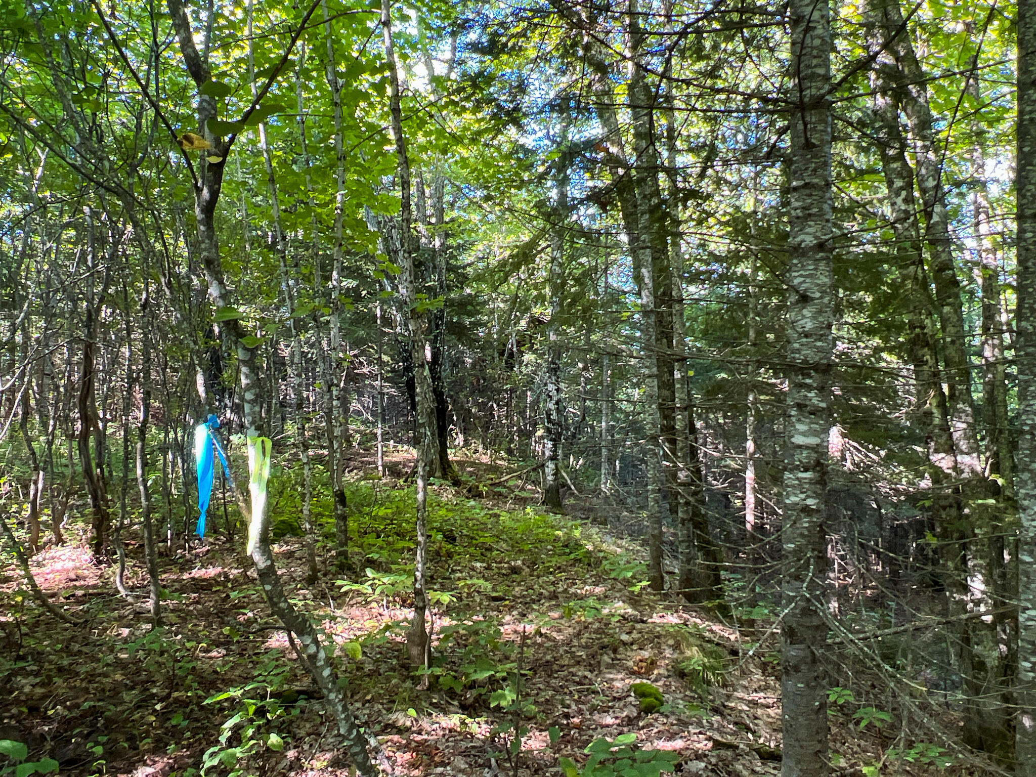 2092 Main Street St. Francis, ME 04774 - Photo 45 of 53 IMG_0563