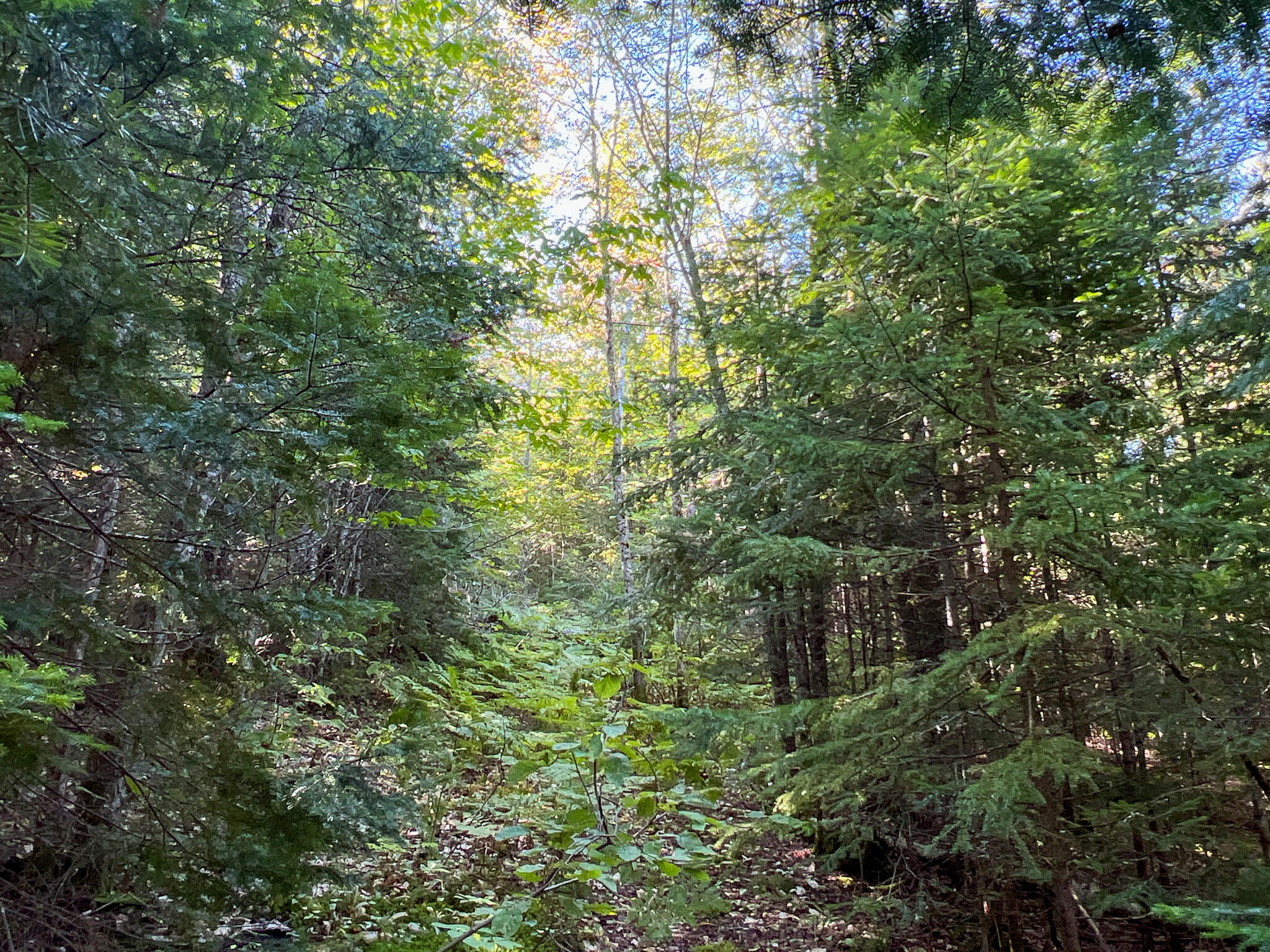 2092 Main Street St. Francis, ME 04774 - Photo 48 of 53 IMG_0567