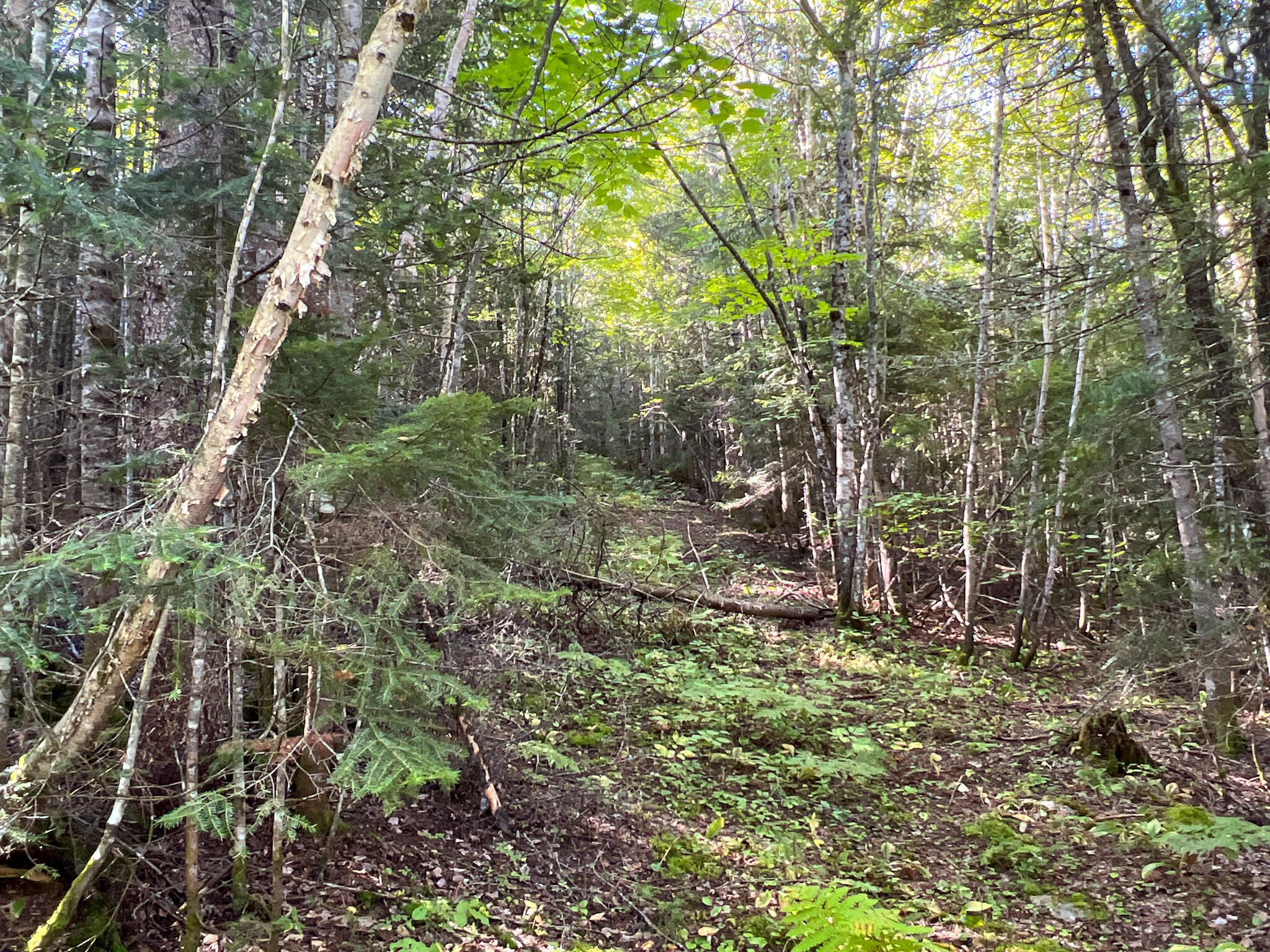 2092 Main Street St. Francis, ME 04774 - Photo 50 of 53 IMG_0569